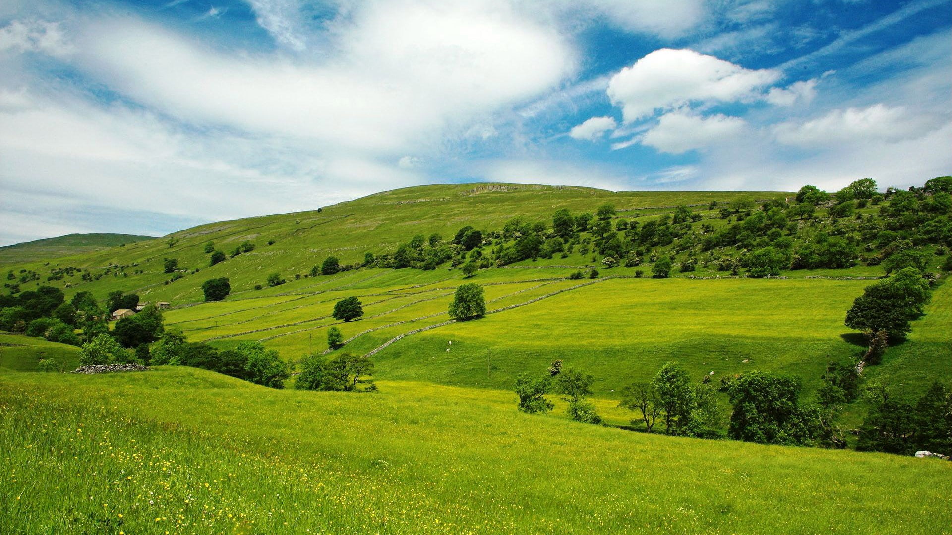 1080P, grass, super pictures nature 1920x1080, tranquil scene, nature, no people, outdoors, scenics - nature, field, non-urban scene, springtime, rural scene, HD Wallpaper