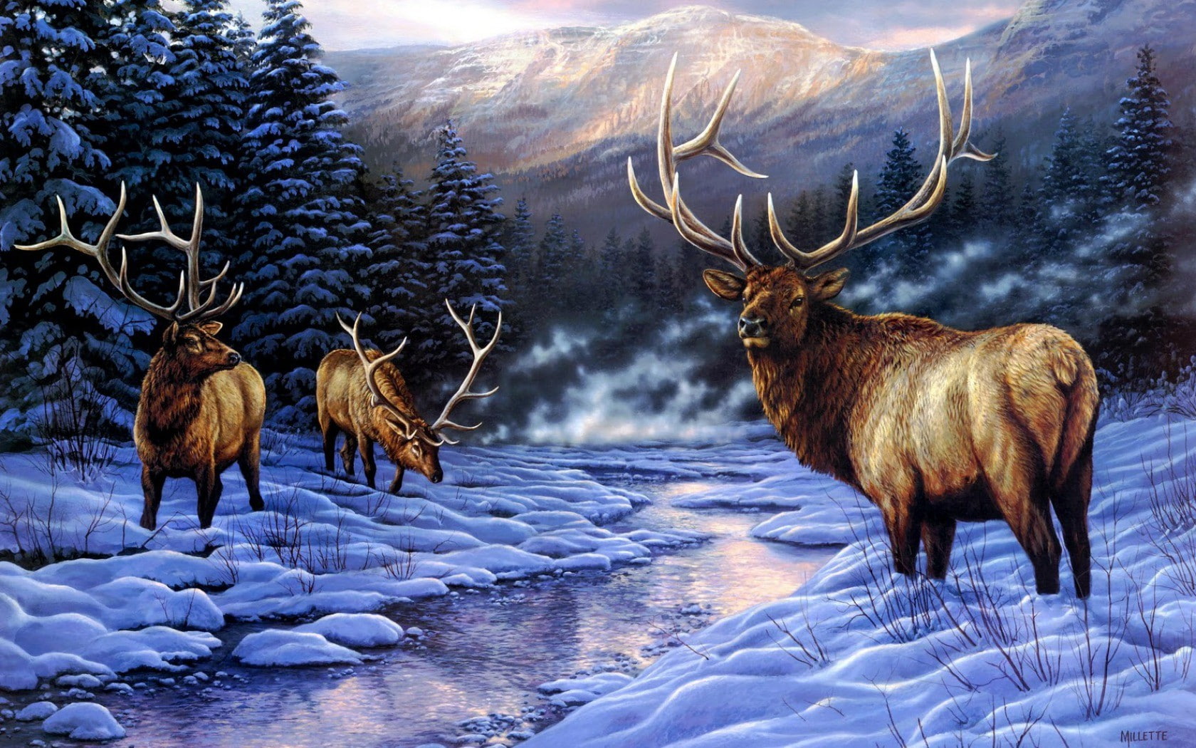 Elk, 720P, HD Wallpaper