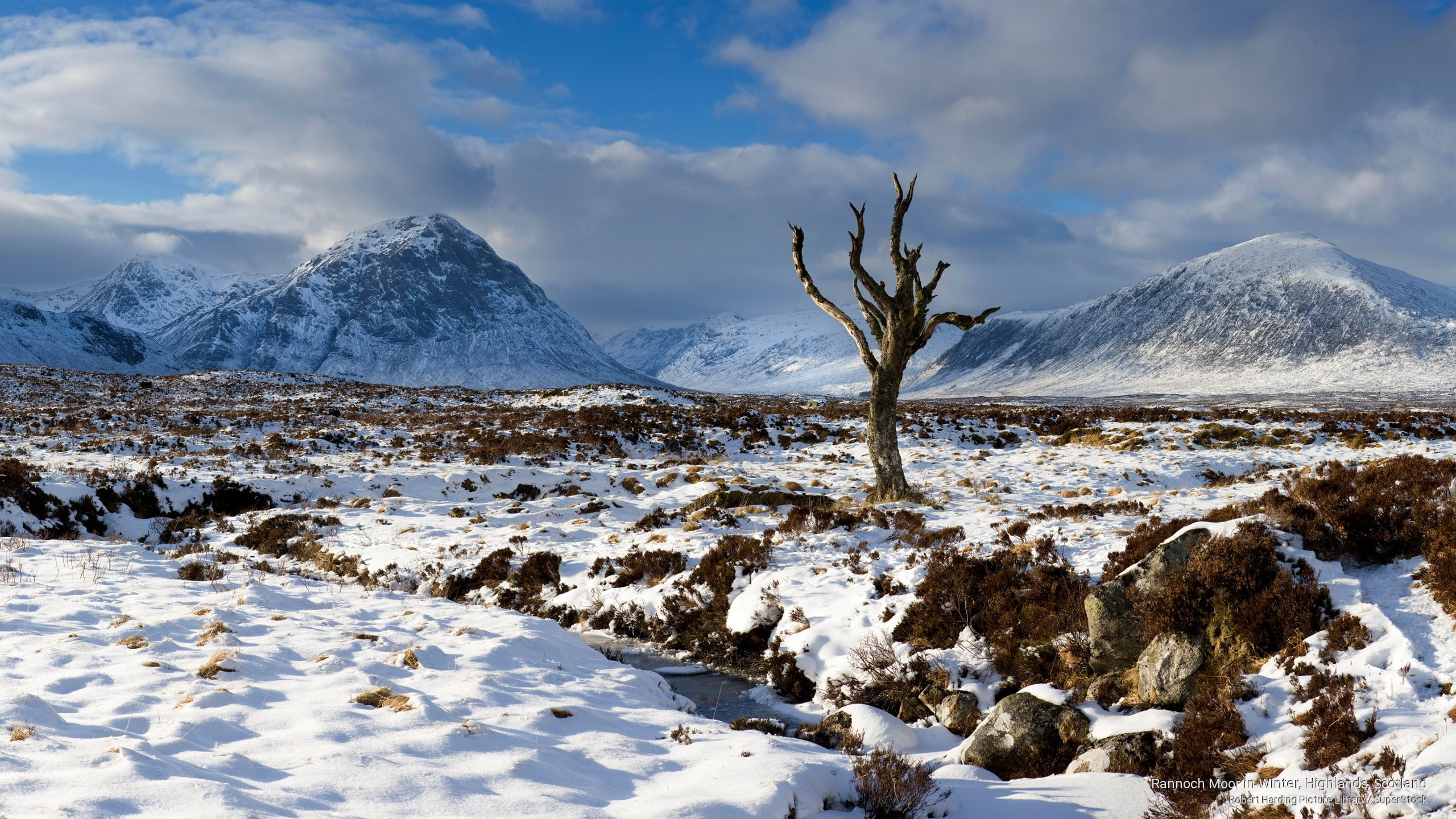 2K, scotland, Winter, moor, rannoch, highlands, HD Wallpaper