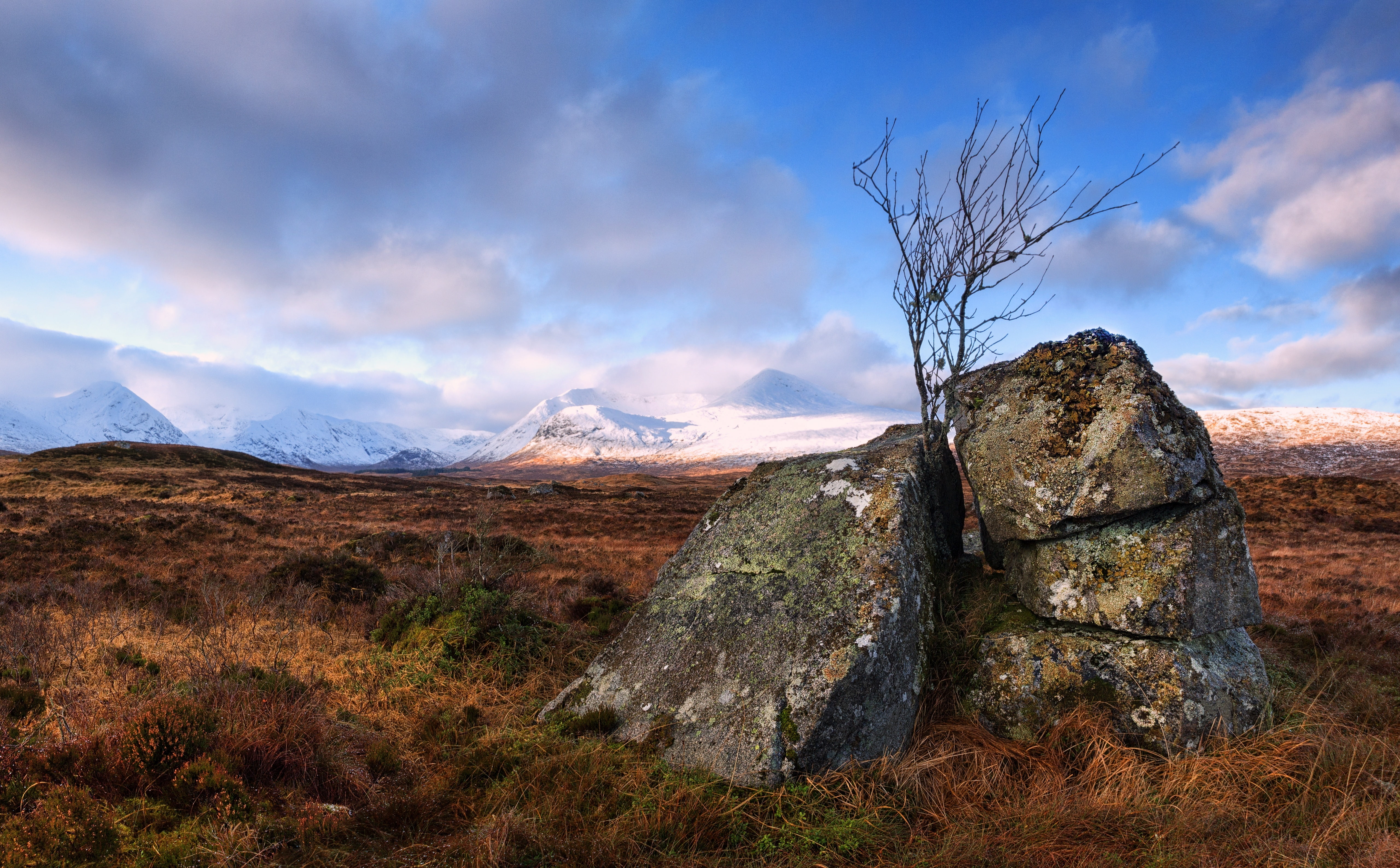 Range, non-urban scene, plant, land, remote, Scotland, unitedkingdom, moorland, rock - object, West, moor, solid, mountain, Landscape, tranquil scene, Area, HD Wallpaper