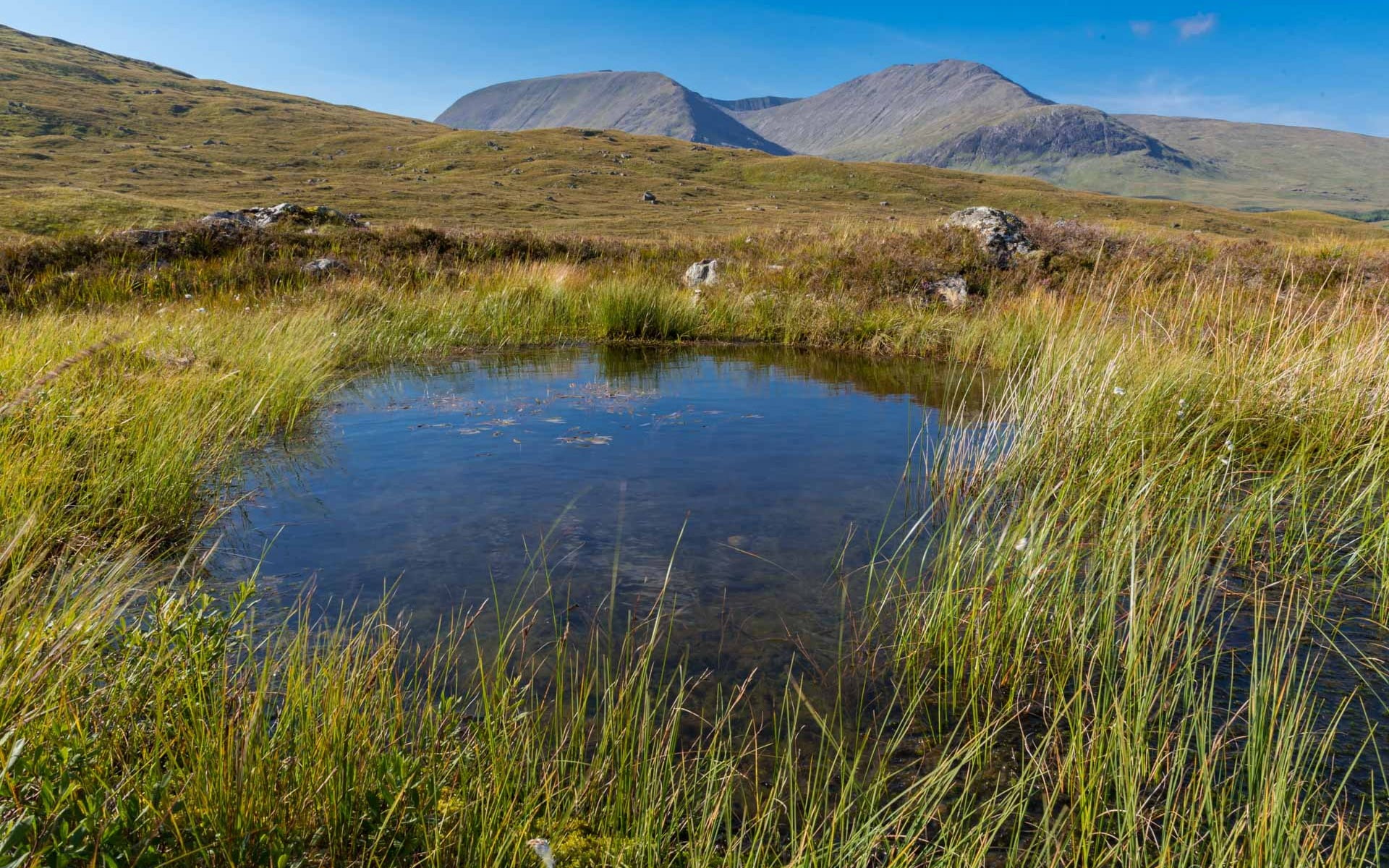 remote, scenics - nature, green color, plant, nature, day, non-urban scene, 1080P, mountain peak, photography, no people, rannoch, water, moor, mountain, HD Wallpaper