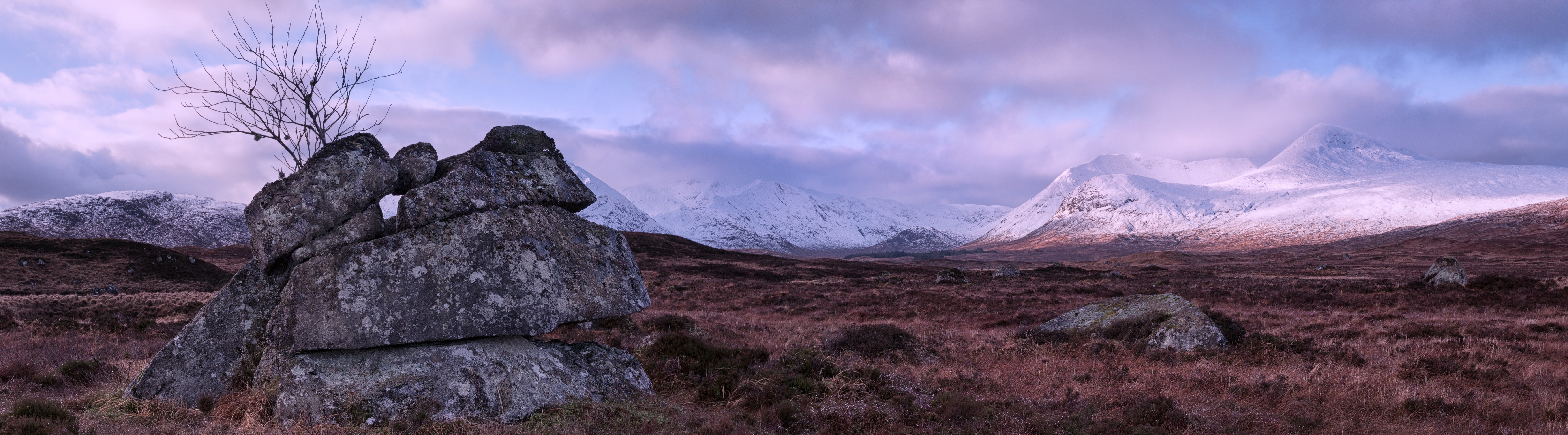 sky, land, no people, Nature, 5K, winter, snow, travel destinations, landscape, United Kingdom, moorland, mountain peak, environment, rock, Tree, rannoch, HD Wallpaper