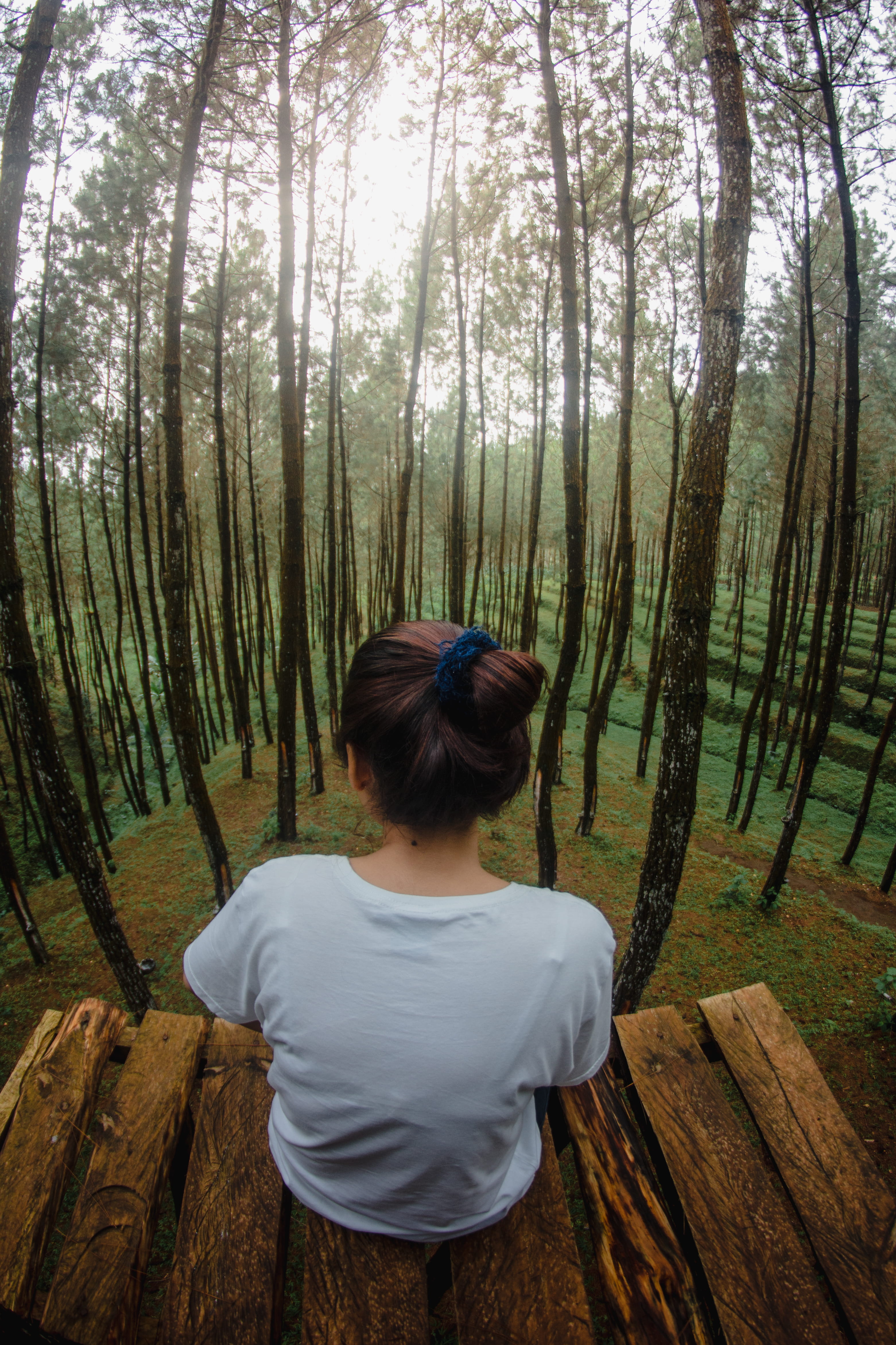 land, alone, leisure activity, hairstyle, girl, noface, forest, green, beauty in nature, women, frombehind, tree, 4K, nature, rear view, tree trunk, trunk, Phone HD Wallpaper