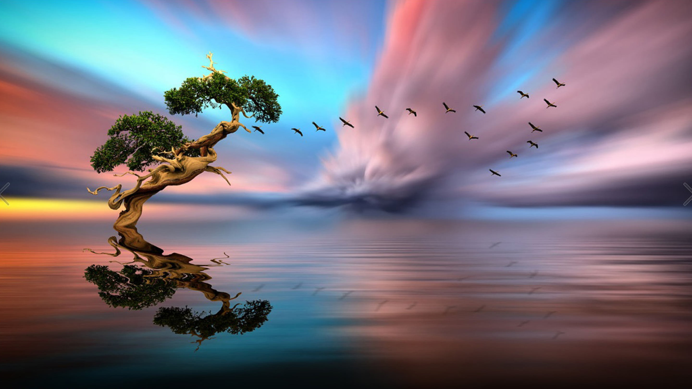 animal wildlife, flock of birds, cloud, red, hd, beauty in nature, animal, flight, animal themes, reflection, sky, 2K, dusk, no people, animals in the wild, HD Wallpaper