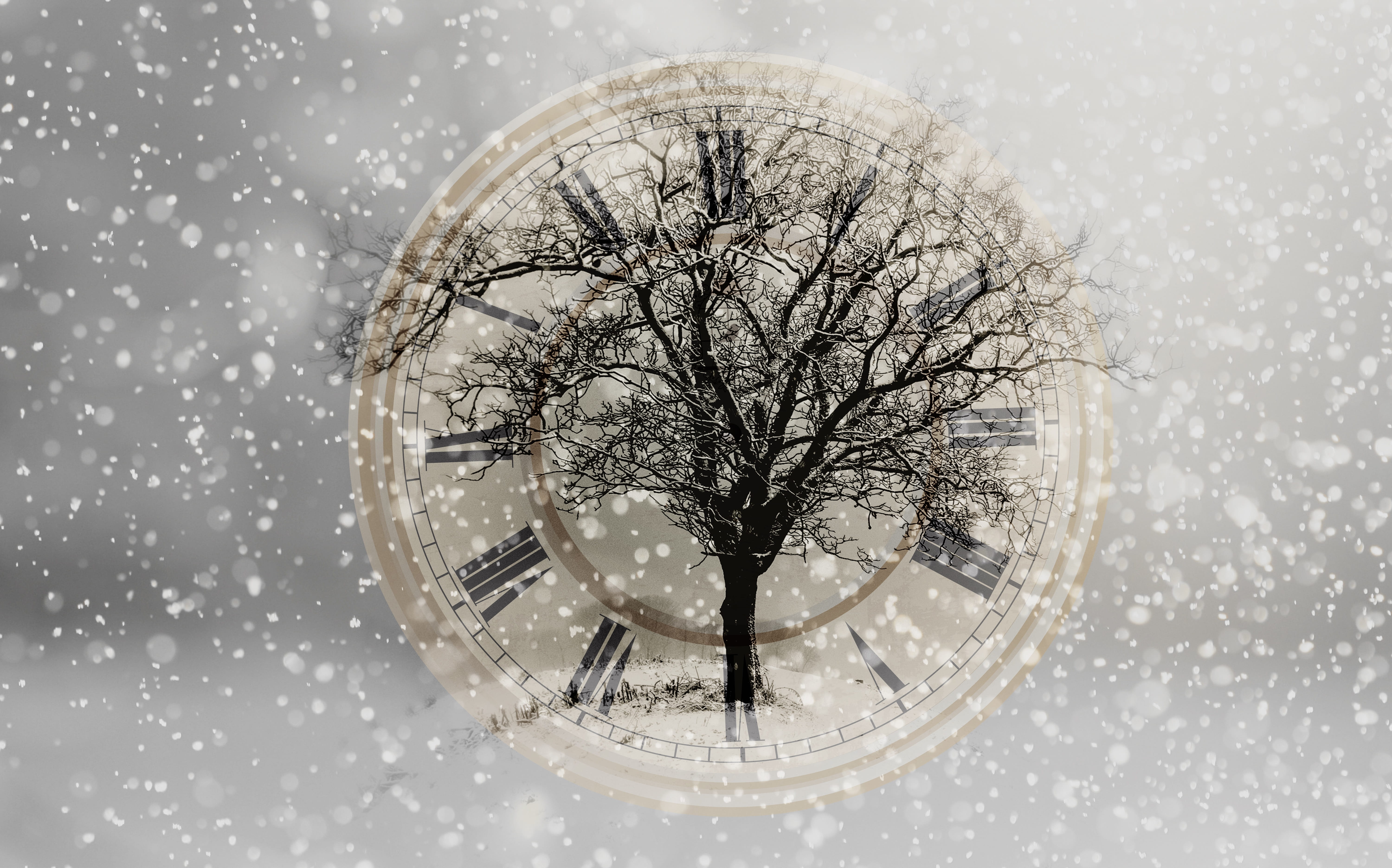 cold temperature, bare tree, winter, cold, architecture, snow, geometric shape, plant, shape, building exterior, solitary, tree, no people, extreme weather, HD Wallpaper