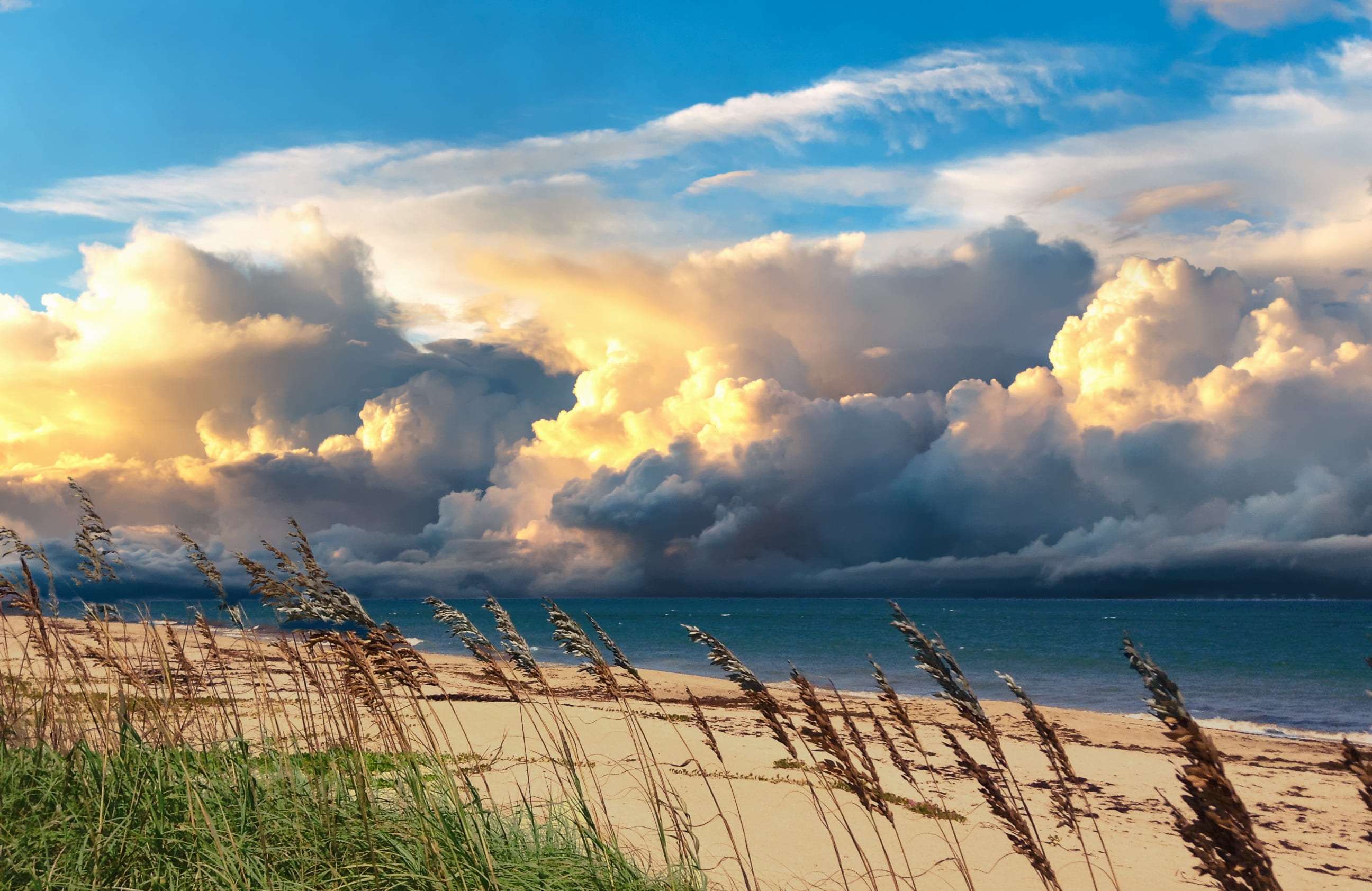 sky, ocean, atlantic, florida, horizon over water, sea, environment, beauty in nature, cloud - sky, no people, landscape, solitary, summer, seascape, land, HD Wallpaper