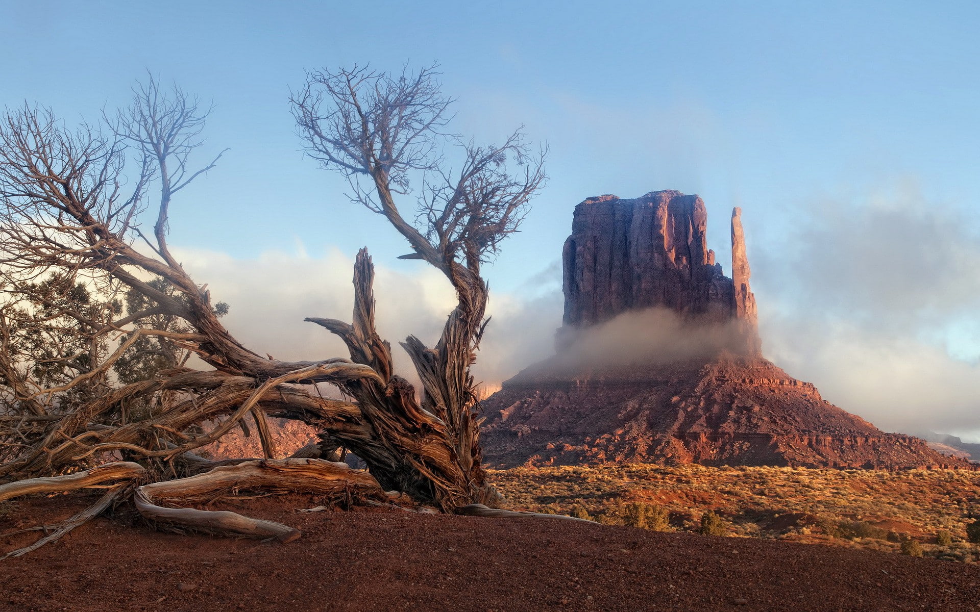Nature, tree, 1080P, valley, mittens, bare, landscape, sunrise, Arizona, monument, brown, HD Wallpaper
