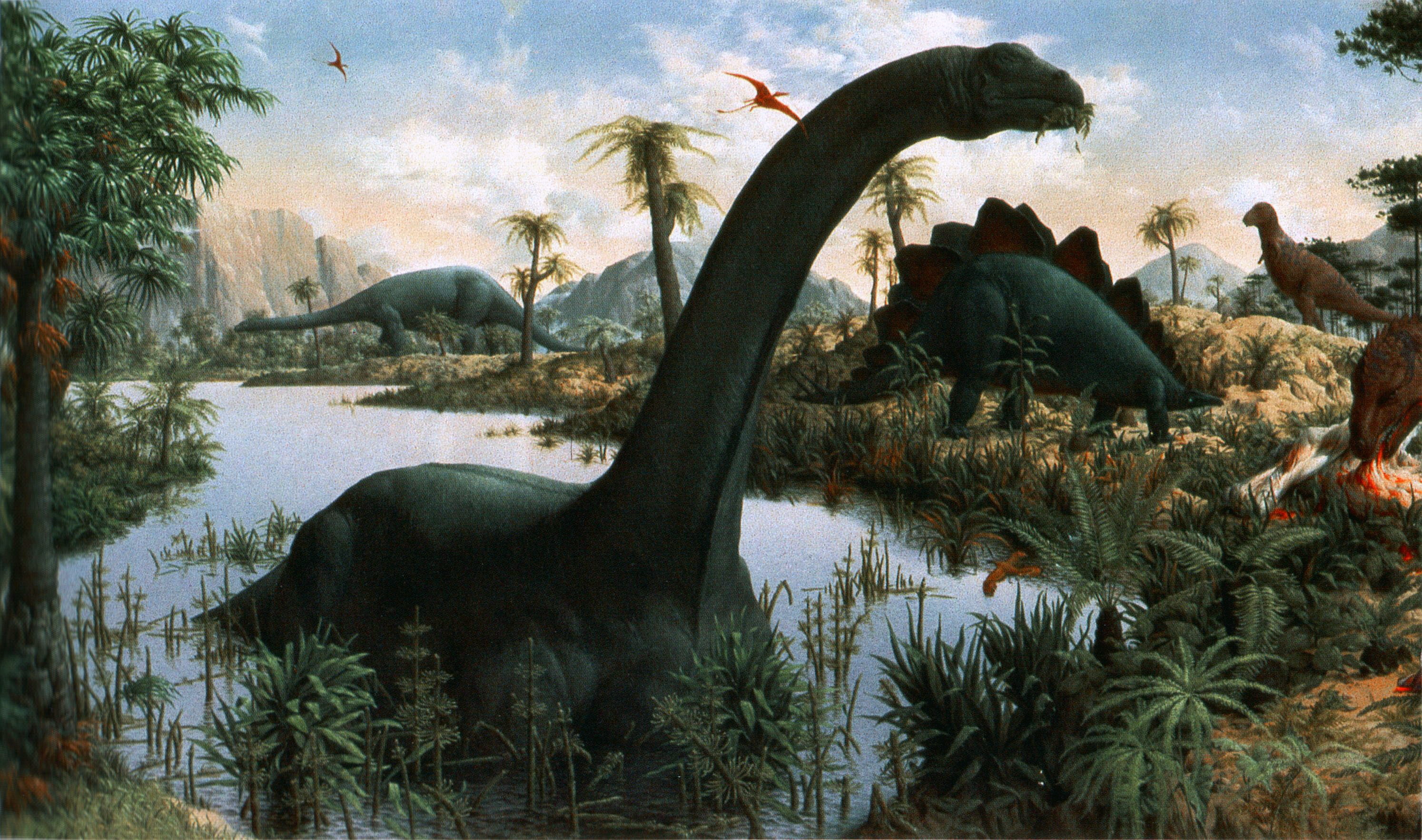 dinosaurs, brontosaurus, 2K, animals, HD Wallpaper
