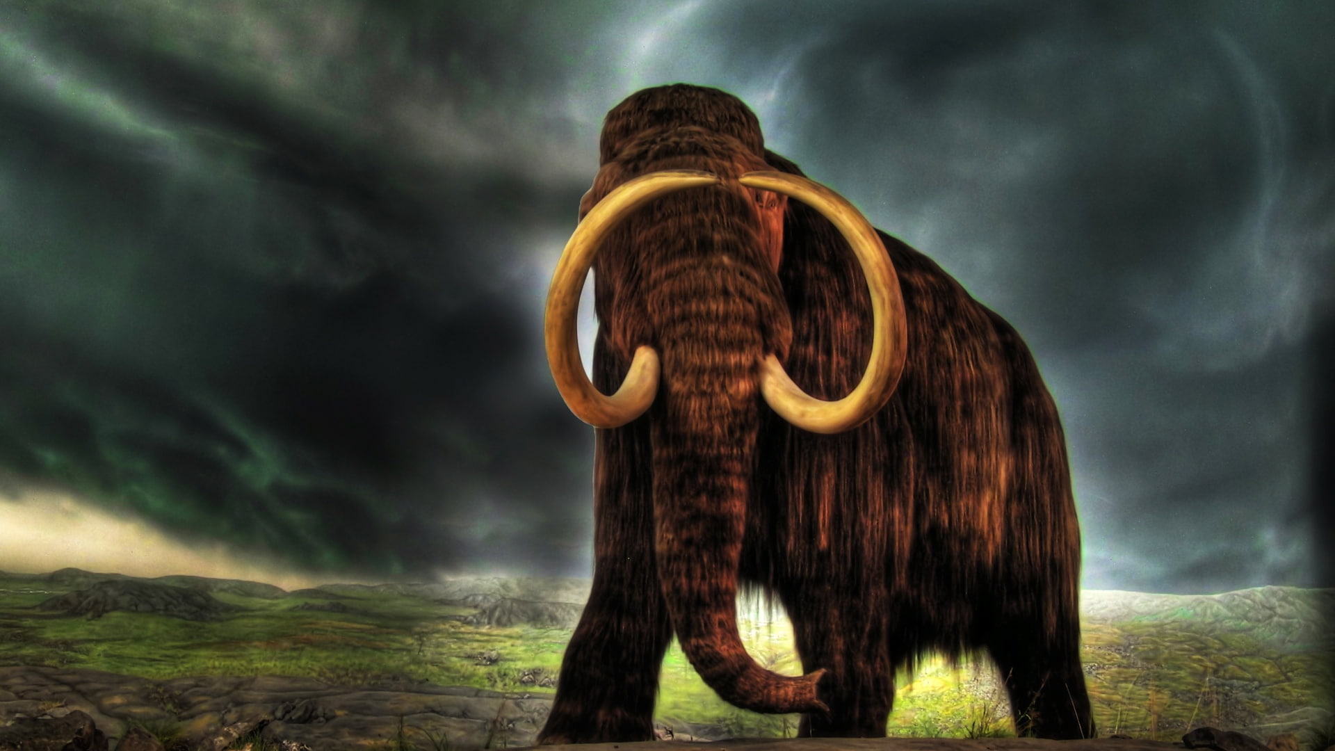 hD, animal, 1080P, mammoth, HD Wallpaper