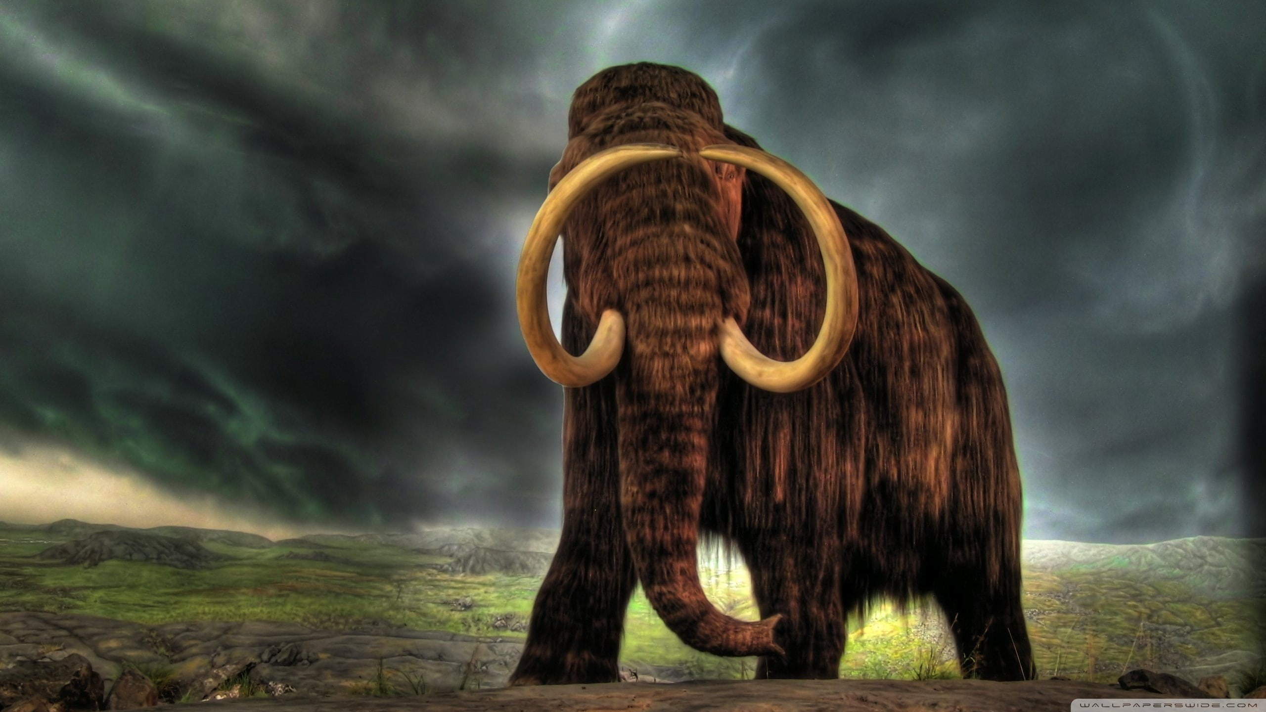storm cloud, outdoors, communication, cloud - sky, dramatic sky, sign, sky, water, landscape, rain, rock, ominous, rock - object, woolly mammoth, 2K, dark, HD Wallpaper