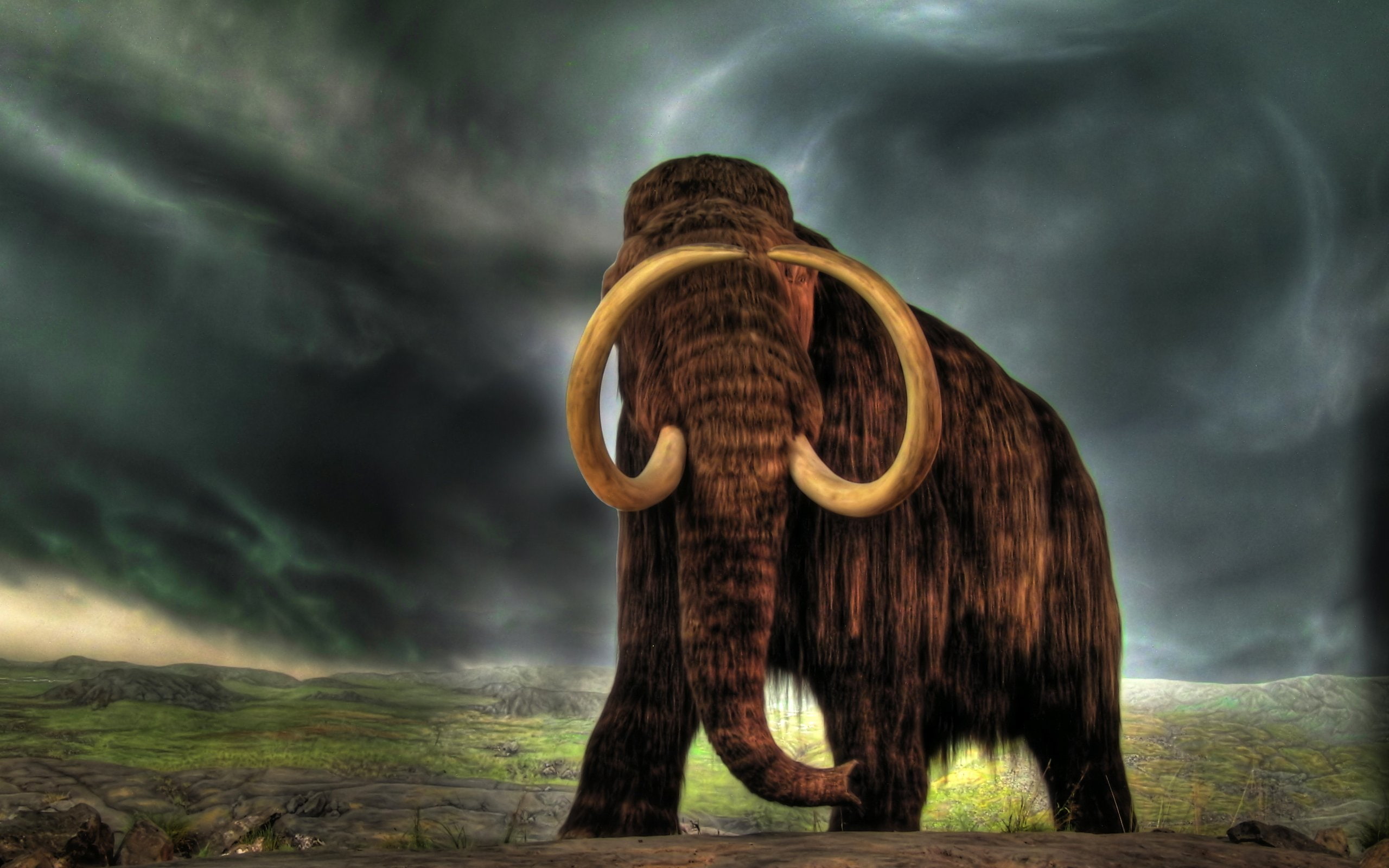2K, Mammoth, Amazing, HD Wallpaper