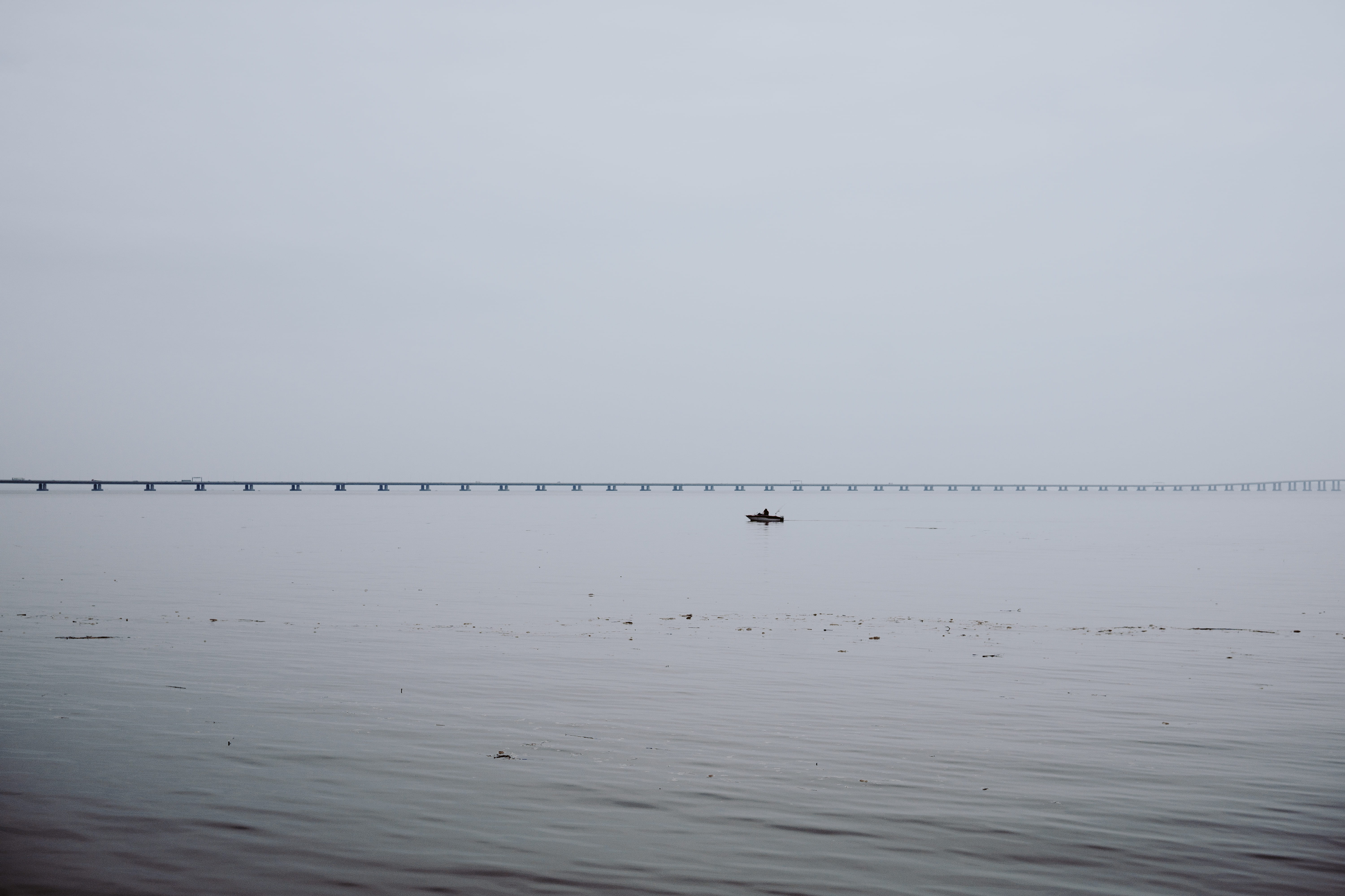 copy space, scenics - nature, water, body, horizon, photo, clear sky, outdoors, dreary, ocean, sea, grey, bridge, bird, vertebrate, portugal, coast, idyllic, HD Wallpaper