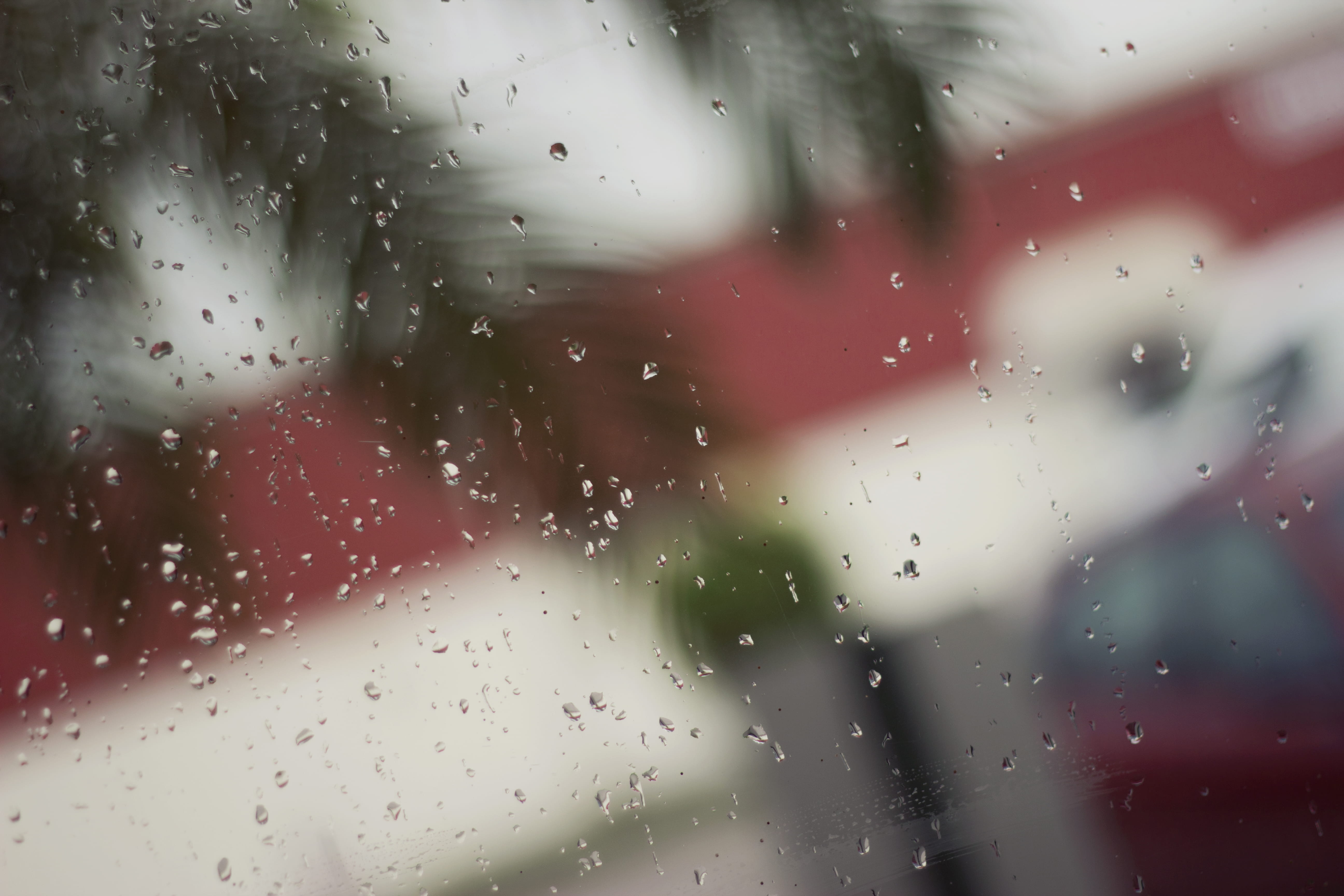water, day, window, rainy season, close-up, raindrop, glass, full frame, fort myers, wet, focus on foreground, transparent, dreary, united states, drop, HD Wallpaper