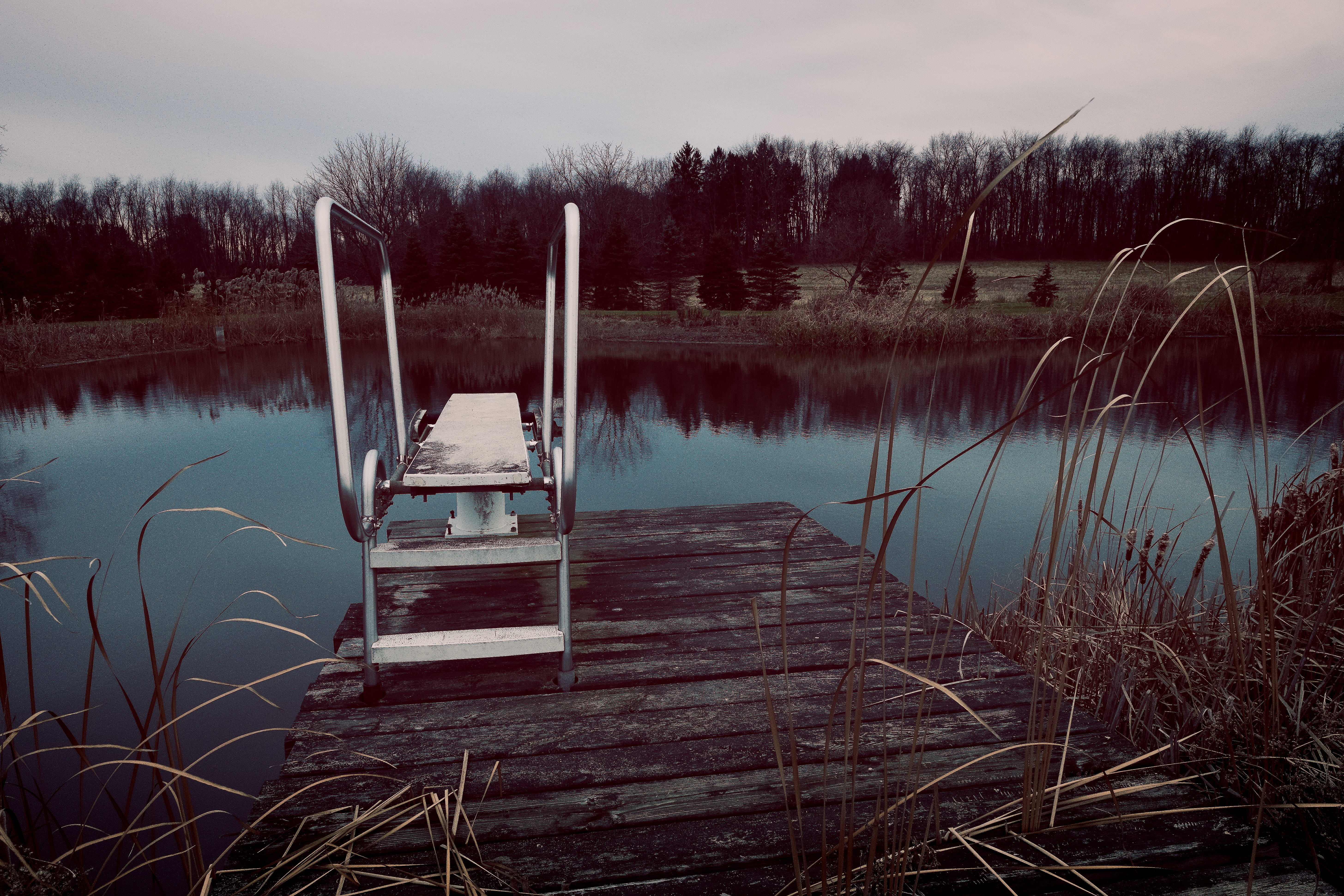 diving, swim, day, water, tree, reeds, lakeshore, ruined, plant, decay, dreary, ruin, idyllic, divingboard, wooden post, woods, no people, pond, united states, HD Wallpaper