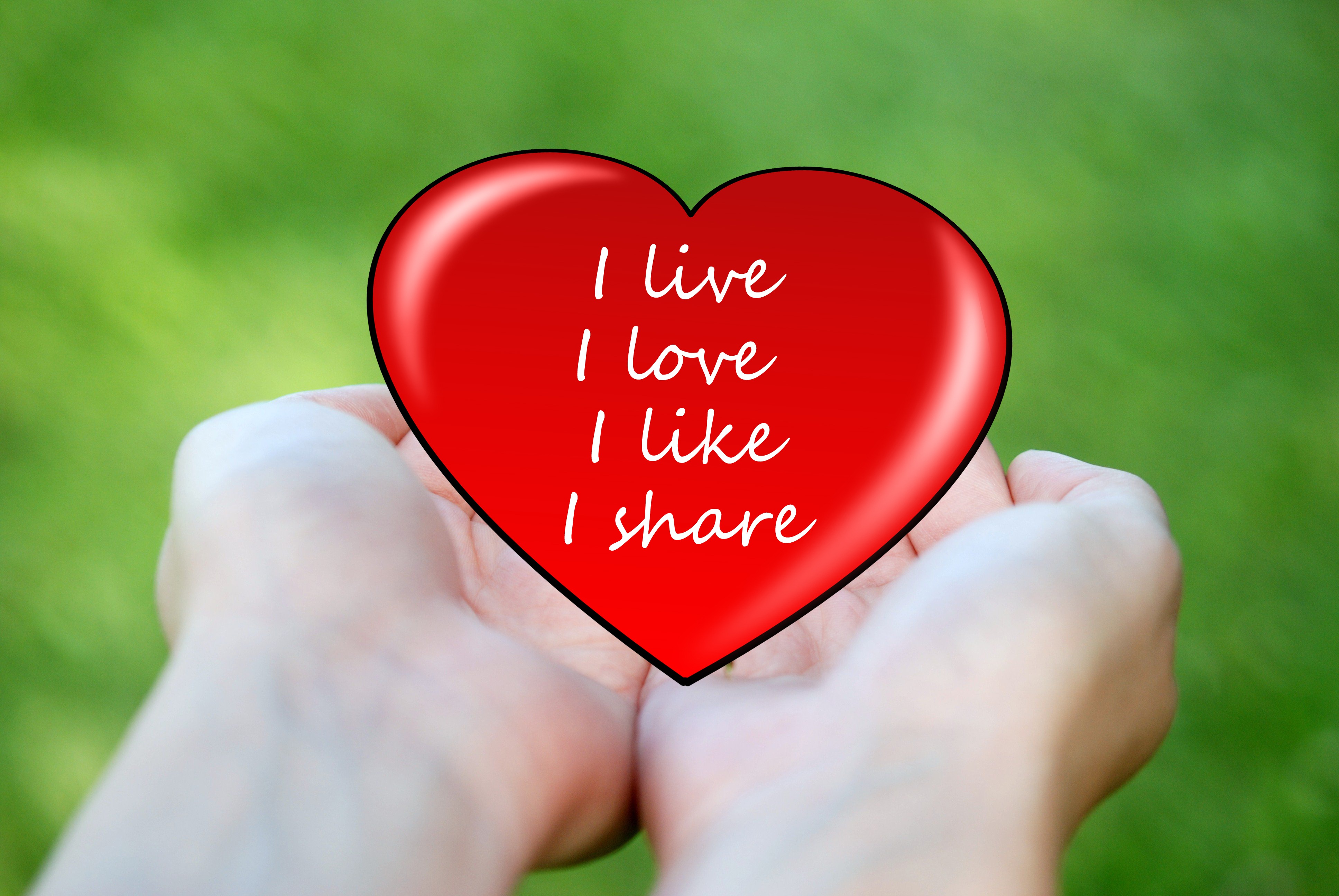 vibrant color, live, text, hands, heart, showing, valentines day - holiday, close-up, red, human hand, attitude to life, positive emotion, holding, sign, HD Wallpaper