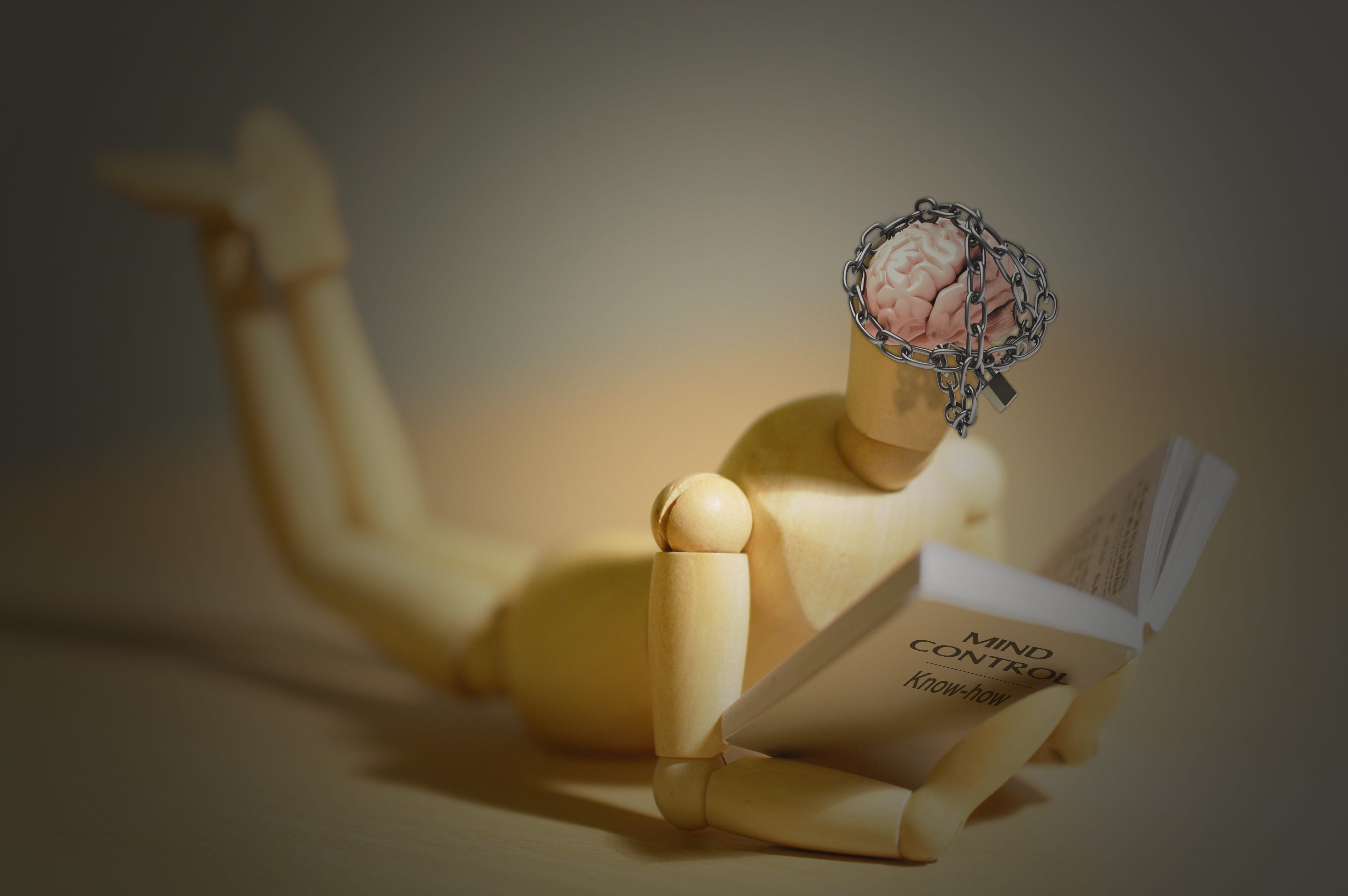 brain, domestic room, way of thinking, paper, representation, silence, western script, freshness, indoors, policy, close-up, law, food, publication, human representation, HD Wallpaper