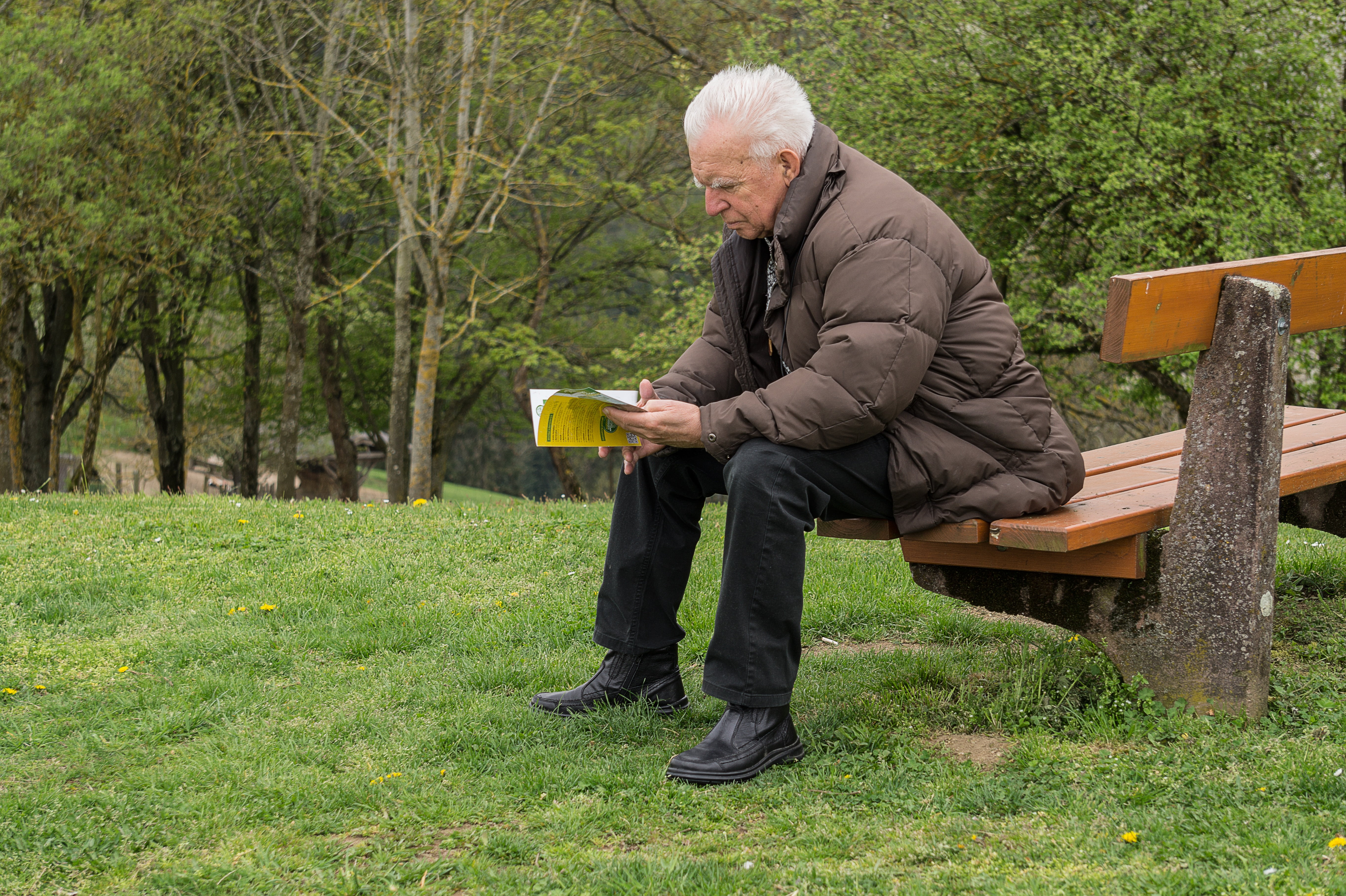 reading, full length, land, bank, 5K, holding, sit, rest, read, nature, harmony, thinking, sitting, grandpa, chair man, person, plant, way, senior men, HD Wallpaper