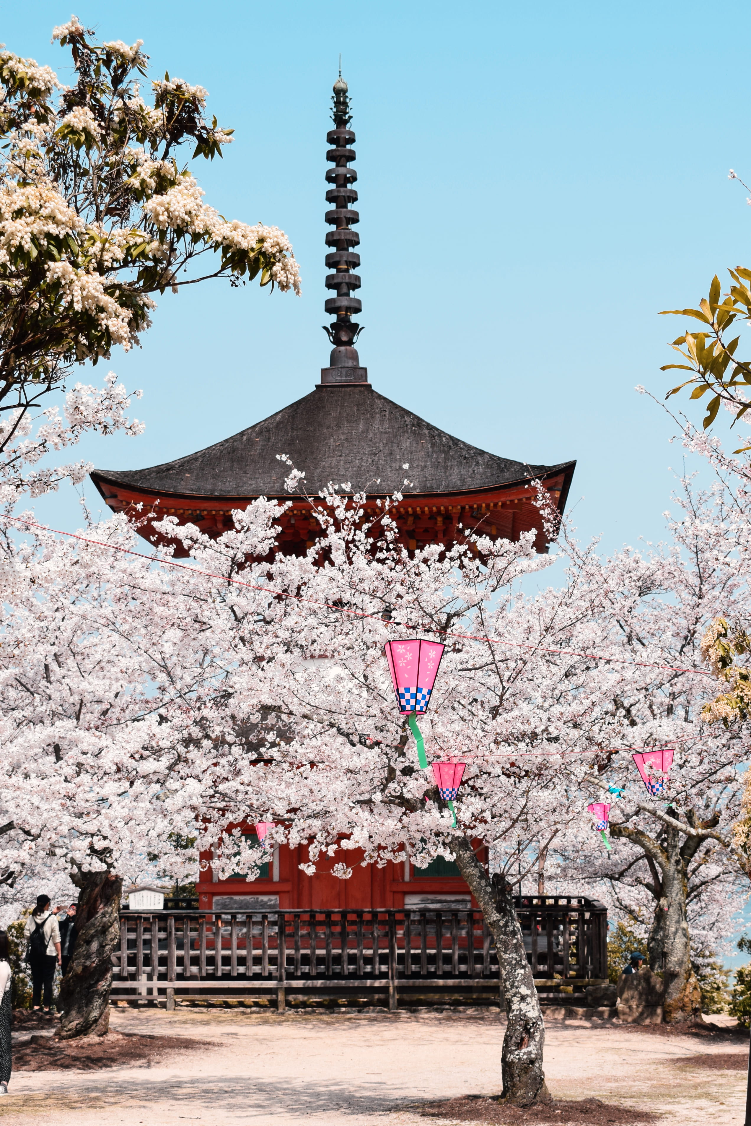 sky, japan, minimal landscape, building, building exterior, flowering plant, architecture, travel, peacefull, day, tower, growth, traditional, spring, sakura, Phone HD Wallpaper