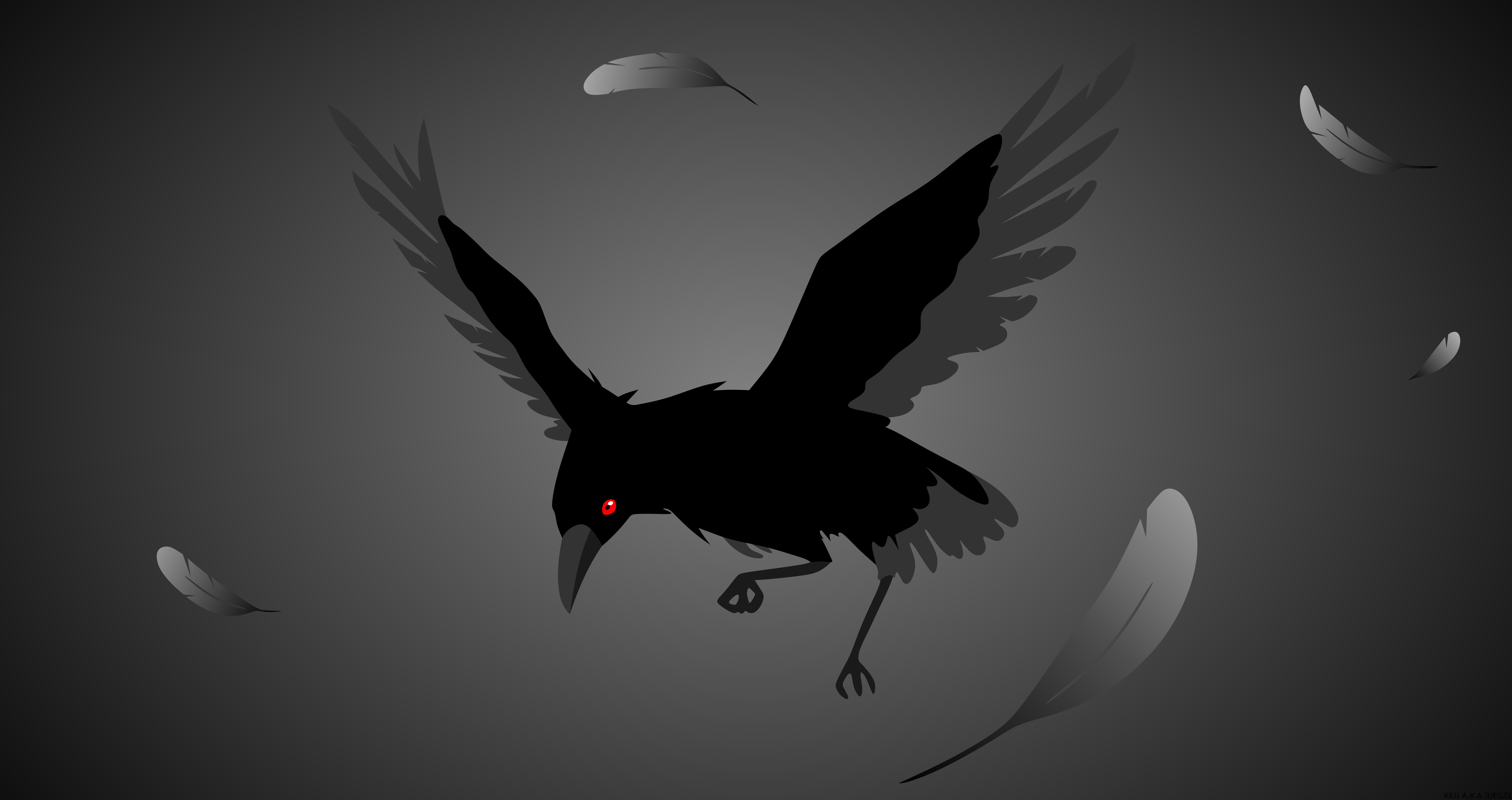 Animal, Minimalist, Feather, Crow, Artistic, 8K, Vector, HD Wallpaper