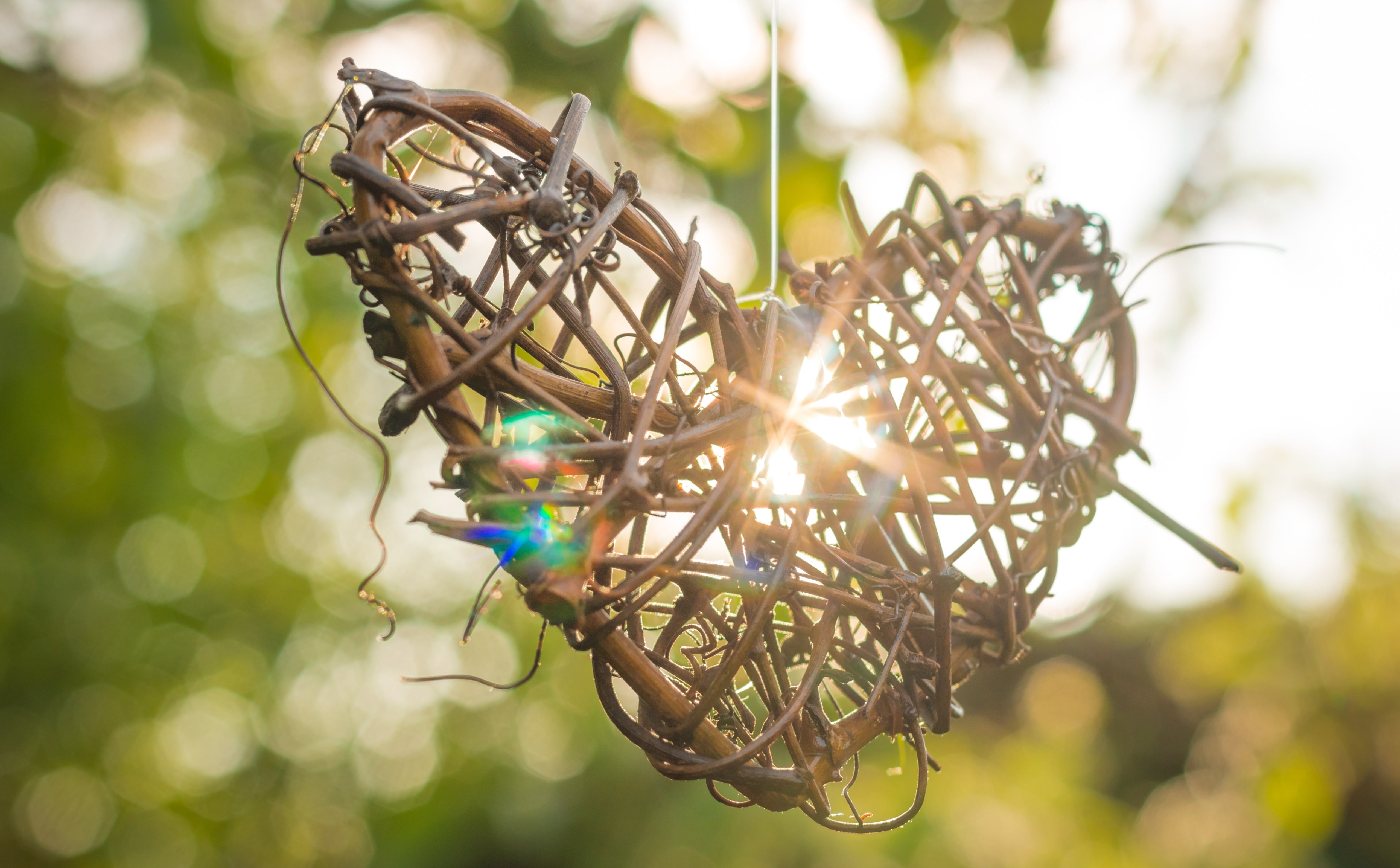 Wood, sunbeam, organic, shine, Romance, Branches, Stalk, Romantic, Summer, 5K, Nature, Love, let, sunshine, Bokeh, Heart, Aero, valentinesday, HD Wallpaper