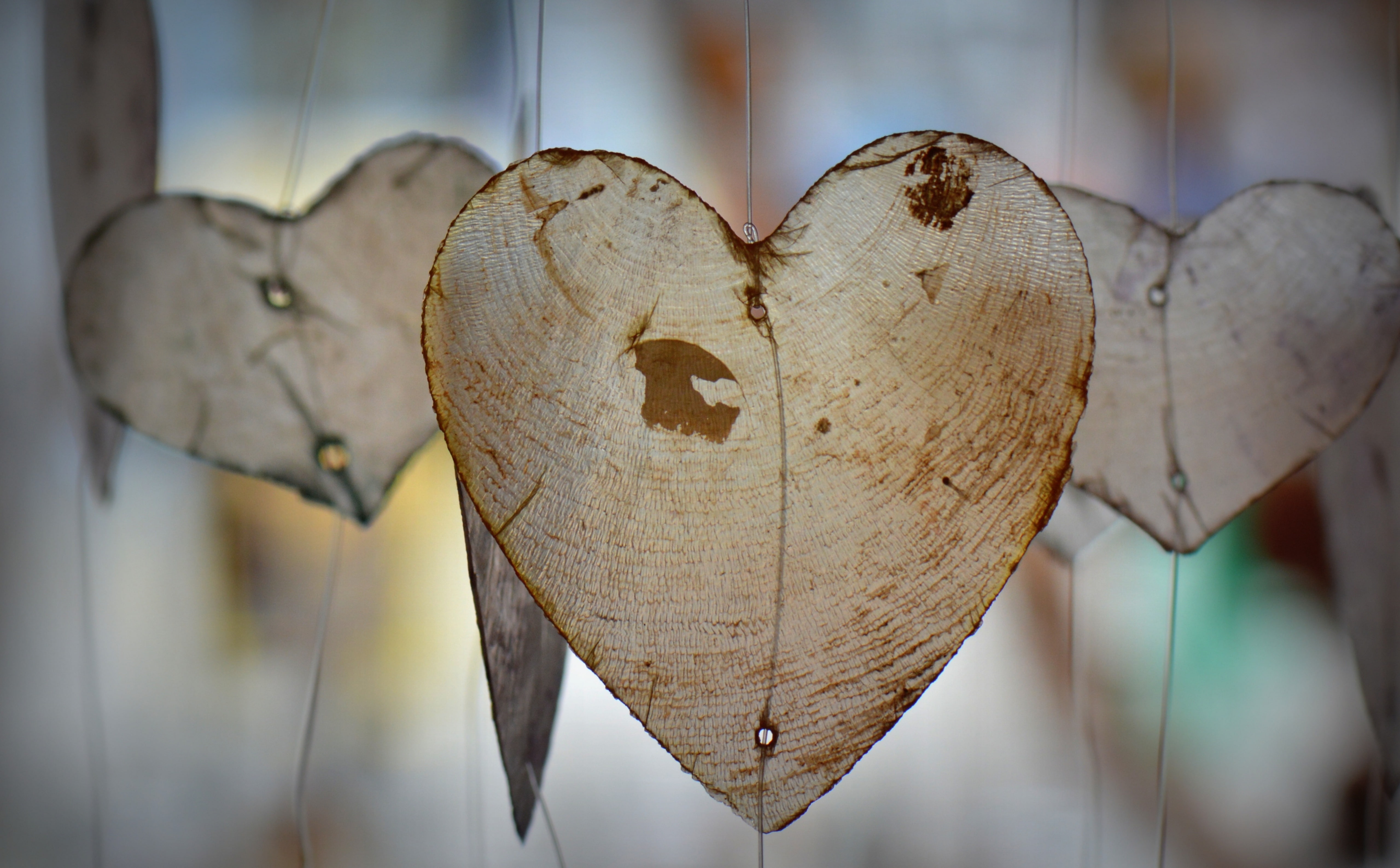 shape, design, decorations, leaf, valentines day - holiday, valentines, Romantic, no people, Hearts, nature, hanging, Love, valentinesday, outdoors, creativity, HD Wallpaper