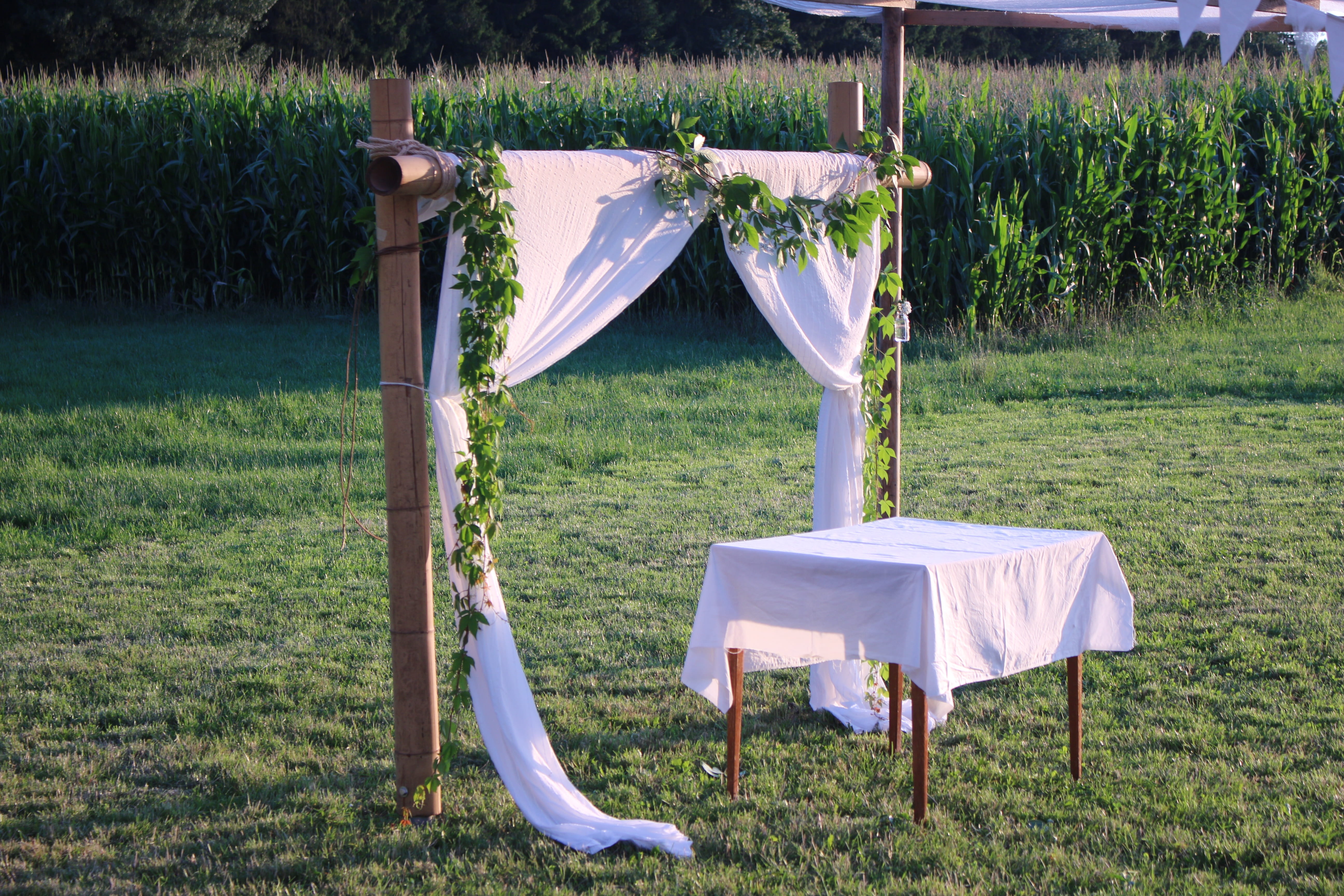 tree, day, grass, textile, no people, clothing, absence, land, nature, connectedness, tranquility, wedding ceremony, outdoors, wedding altar, 5K, wedding, HD Wallpaper