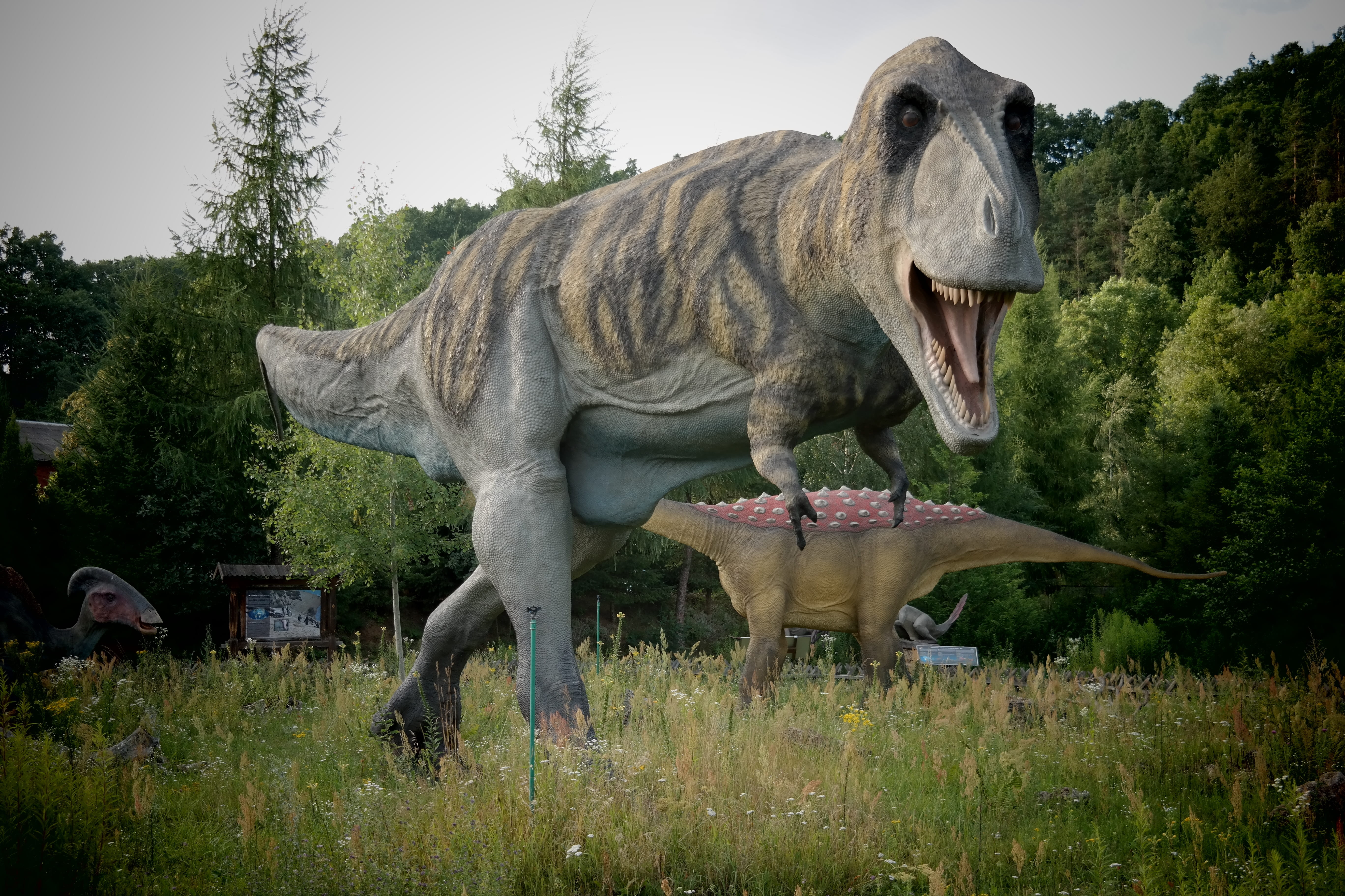 tyrannosaurus, mouth open, animal representation, closeup, Dinosaur, wild animal, day, representation, pet, statue, animals, outdoors, animal themes, sculpture, HD Wallpaper