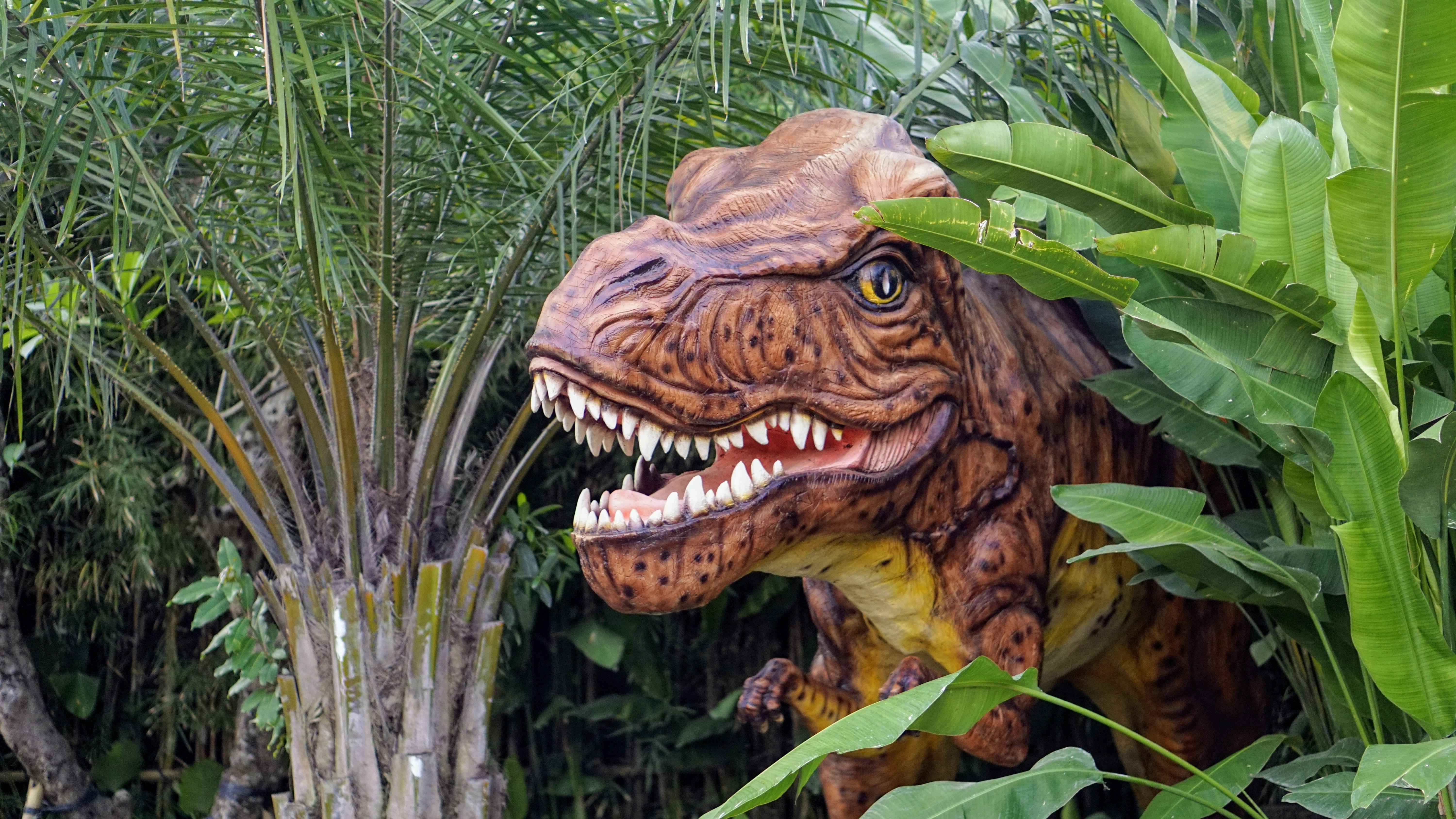 5K, no people, trex, indonesia, sclupture, nature, teeth, statue, palm, sculpture, big garden corner, craft, fun, mouth open, dinosaurus, human representation, HD Wallpaper