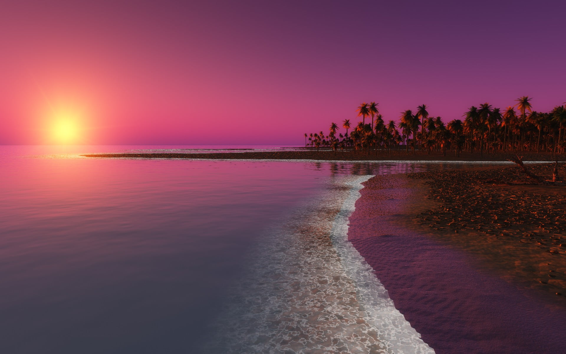 land, sea, large, tree, tranquil scene, purple, palm trees, horizon over water, body, reflection, 1080P, sky, water, dusk, sun, sunset, environment, nature, HD Wallpaper
