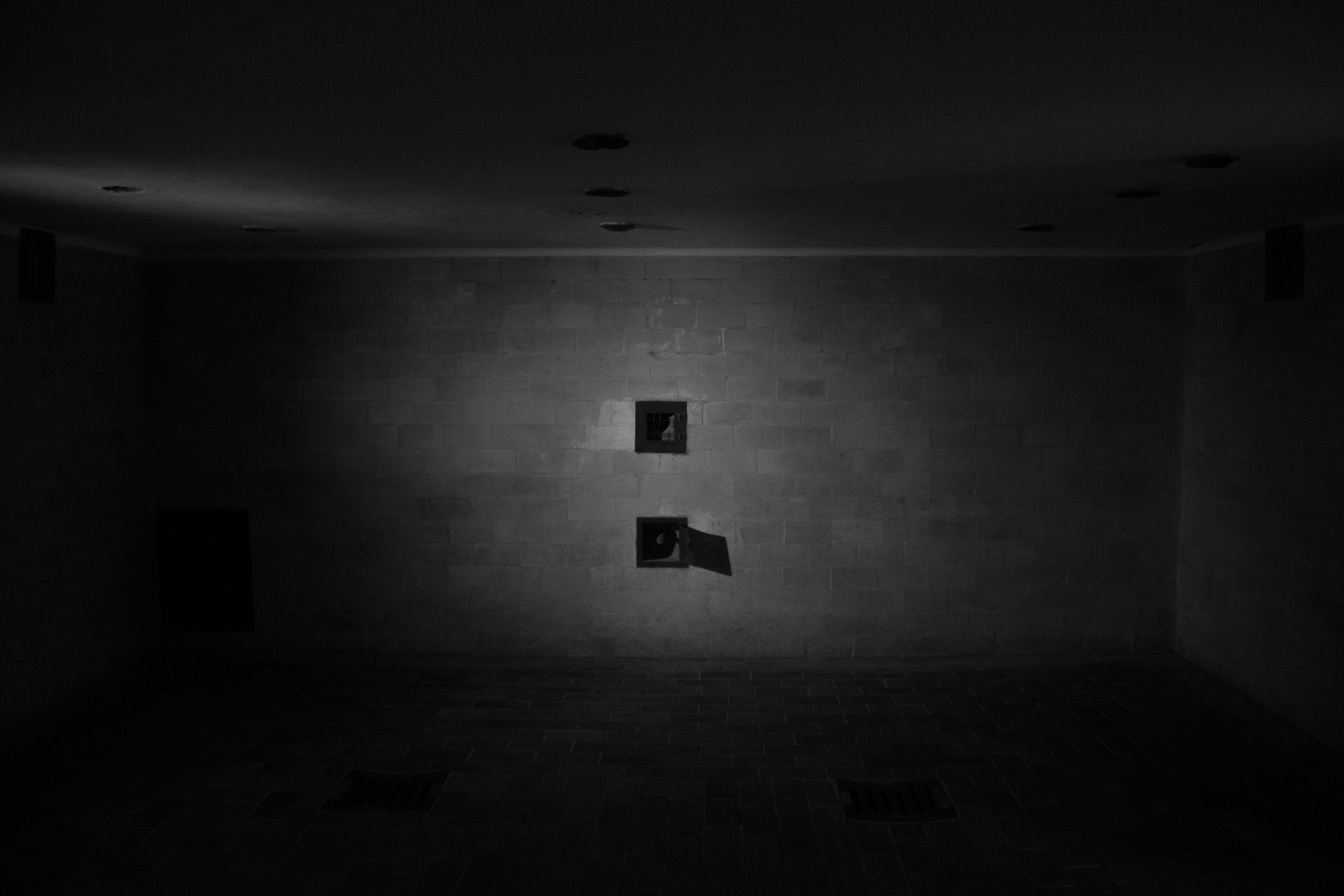 number, spooky, dachau, communication, indoors, domestic room, old, no people, parking lot, absence, nature, night, illuminated, sign, wall - building feature, HD Wallpaper