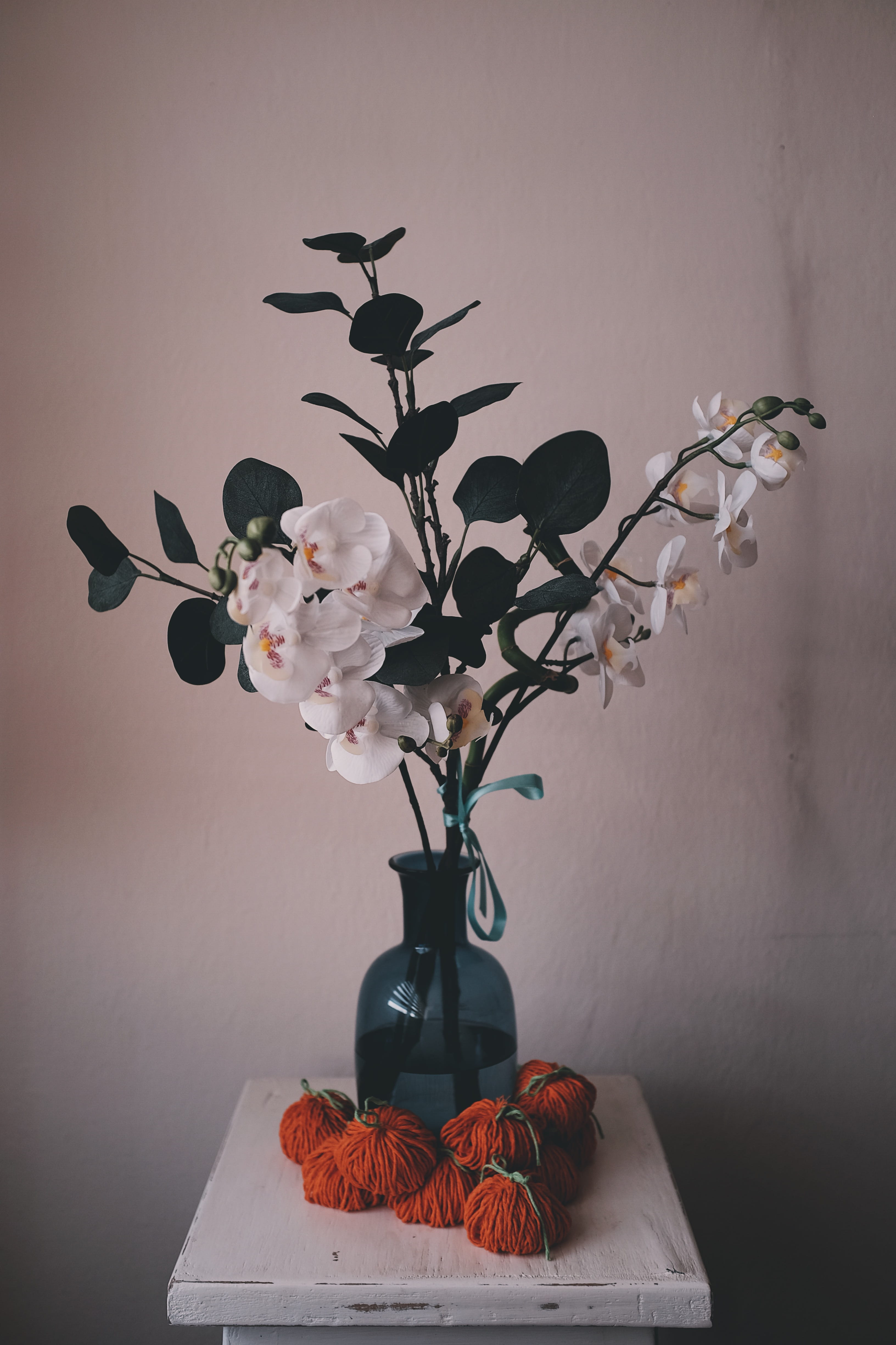 blue, petal, purple, leaf, flowering plant, vulnerability, beauty in nature, plant, flower, inside, flower head, 4K, wall - building feature, fragility, Phone HD Wallpaper