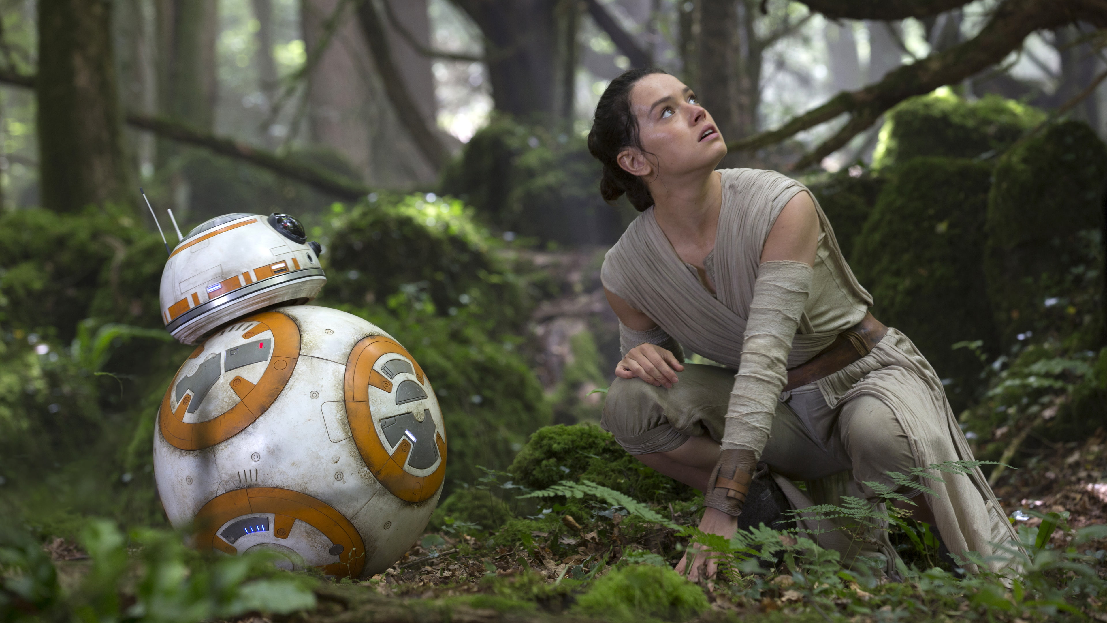 Rey, 4K, Daisy Ridley, Star Wars: The Force Awakens, BB-8, 4K, HD Wallpaper