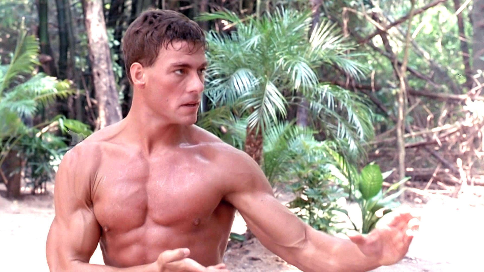 1080P, kickboxer, action, thriller, sports, arts, fighting, martial, HD Wallpaper