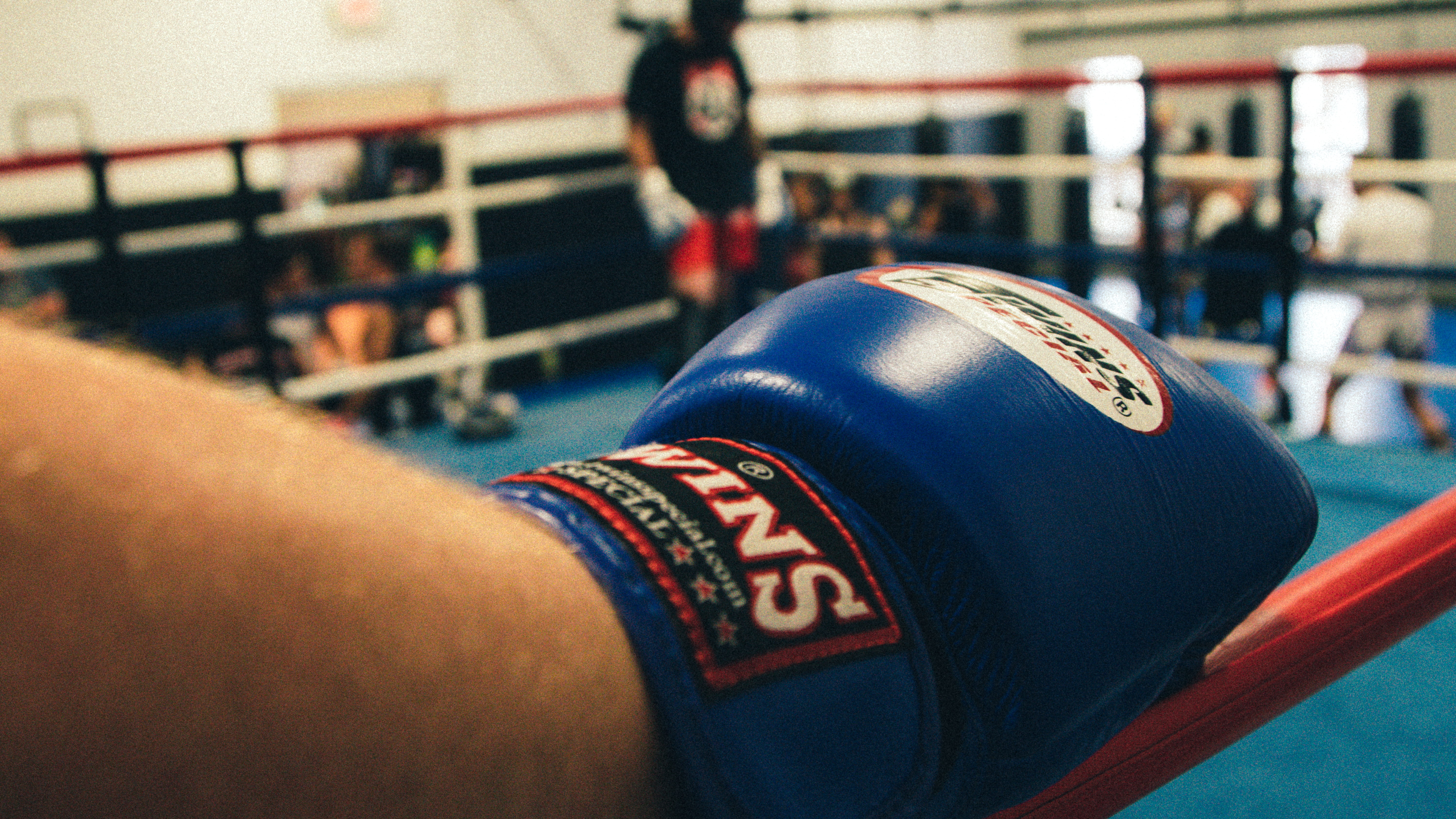 exercising, match, fight, lifestyles, human body part, strength, personal perspective, close-up, one person, selective focus, clothing, focus on foreground, HD Wallpaper