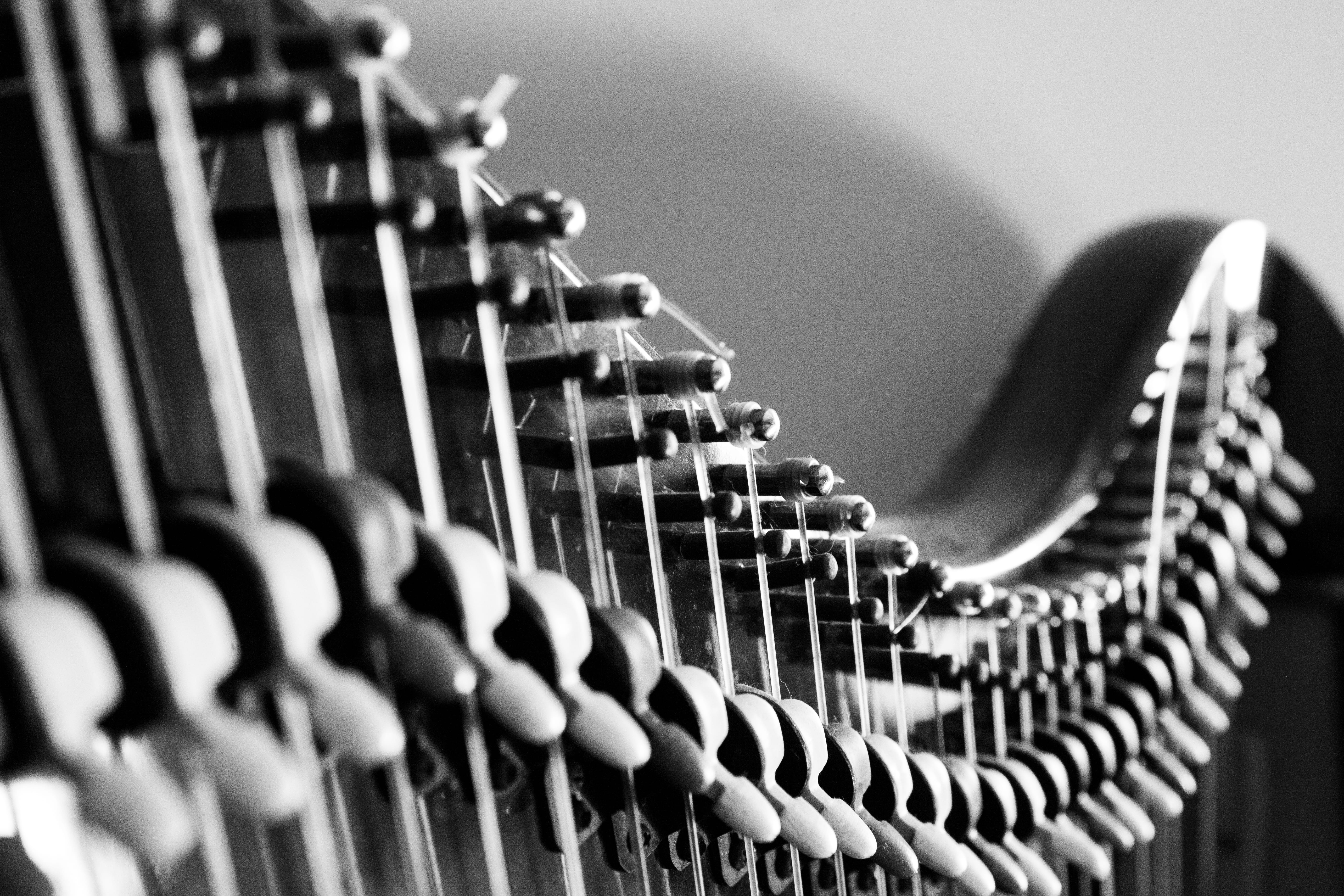 harp, musical equipment, order, strings, close-up, indoors, absence, pattern, australia, musical instrument, side by side, musical instrument string, wood - material, HD Wallpaper