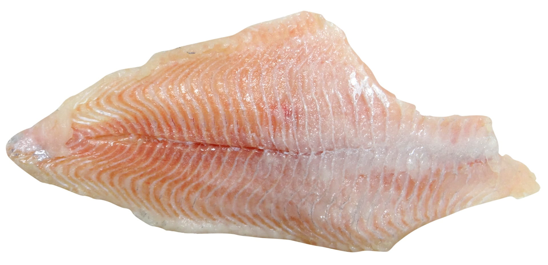 animal, single object, textured, close-up, food and drink, fillet, marine, animal wildlife, Fillet, aquaculture, meat, catch, Catfish, Seafood, Fish, fish, HD Wallpaper