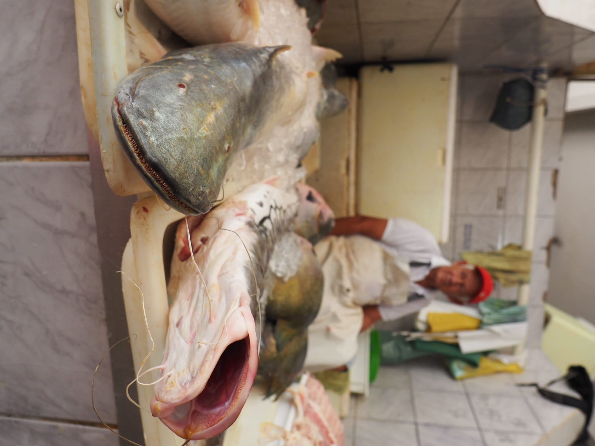 fair, meat, business, raw food, catfish, working, alter do chão, focus on foreground, human representation, real people, messy, representation, one person, HD Wallpaper