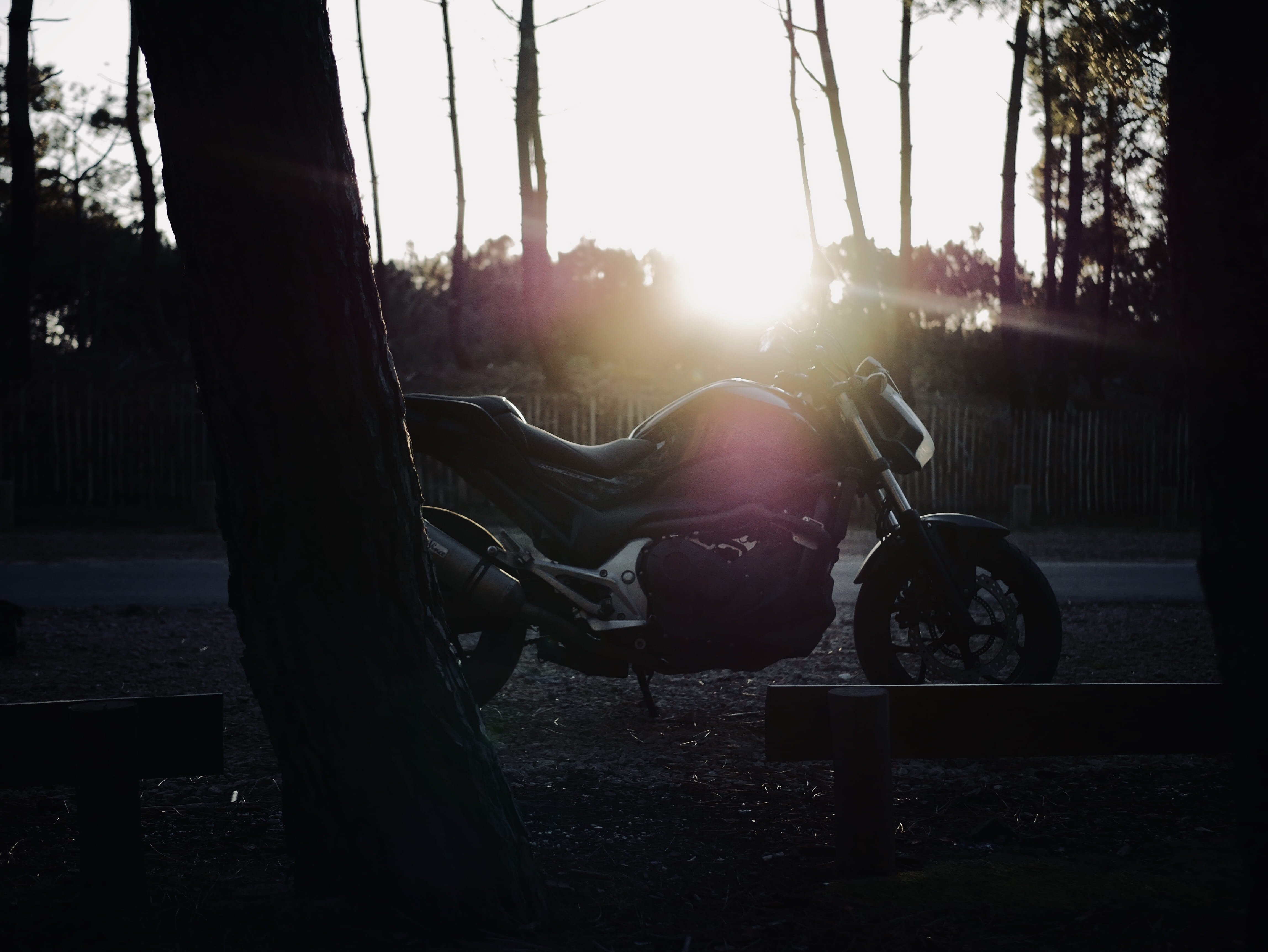 moto, side view, absence, tree, no people, outdoors, motorbike, forest, autumn, honda, france, full length, sky, 4K, nc700, park, plant, nature, HD Wallpaper
