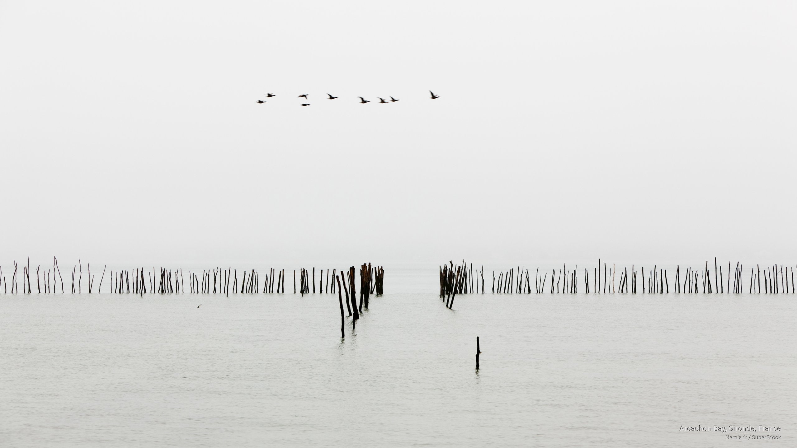 arcachon, bay, gironde, 2K, Nature, france, HD Wallpaper