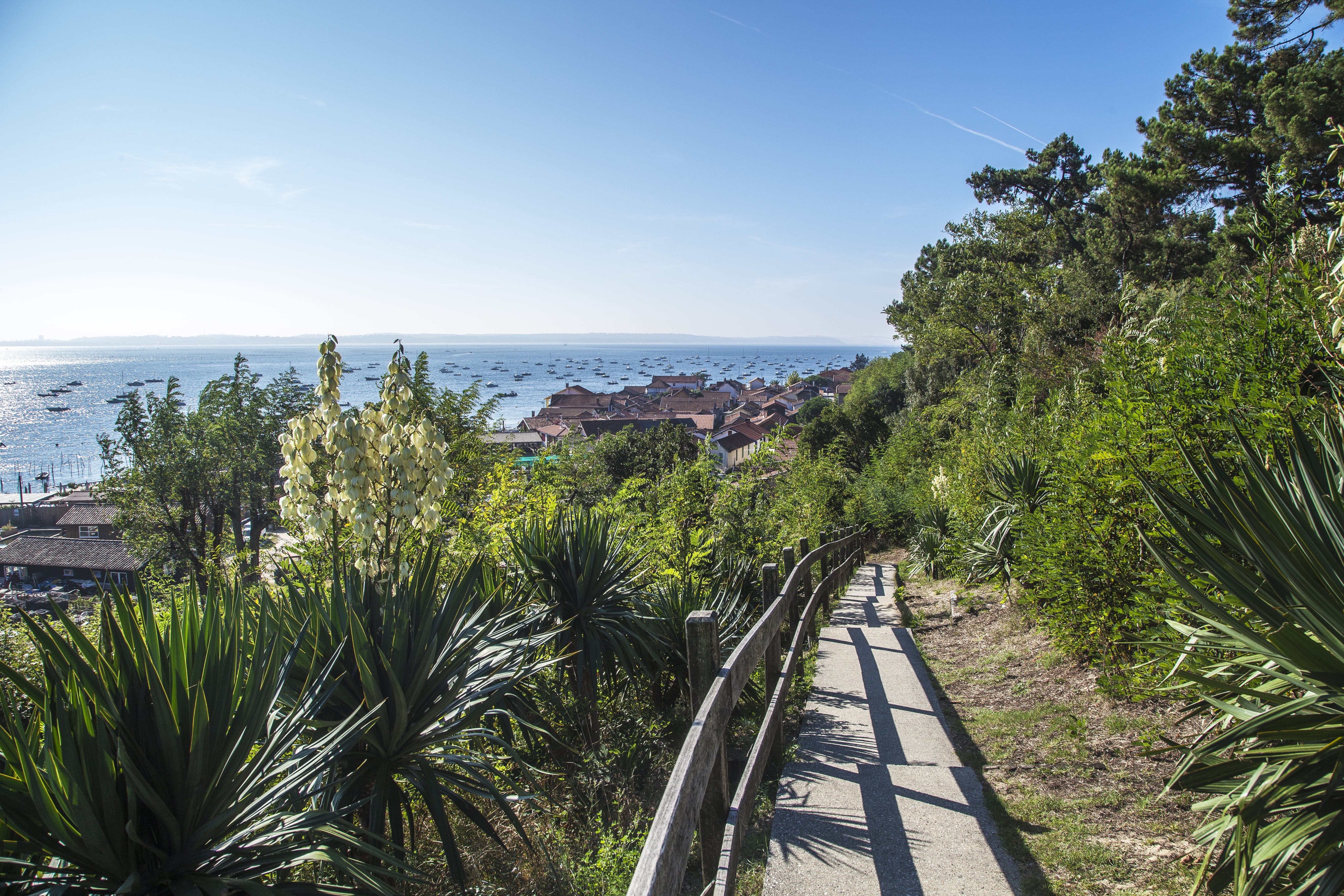 wild, beach, france, light, basin, land, scenics - nature, pine, tropical climate, horizon, architecture, shore, arcachon, vegetation, trees, sailing boat, HD Wallpaper