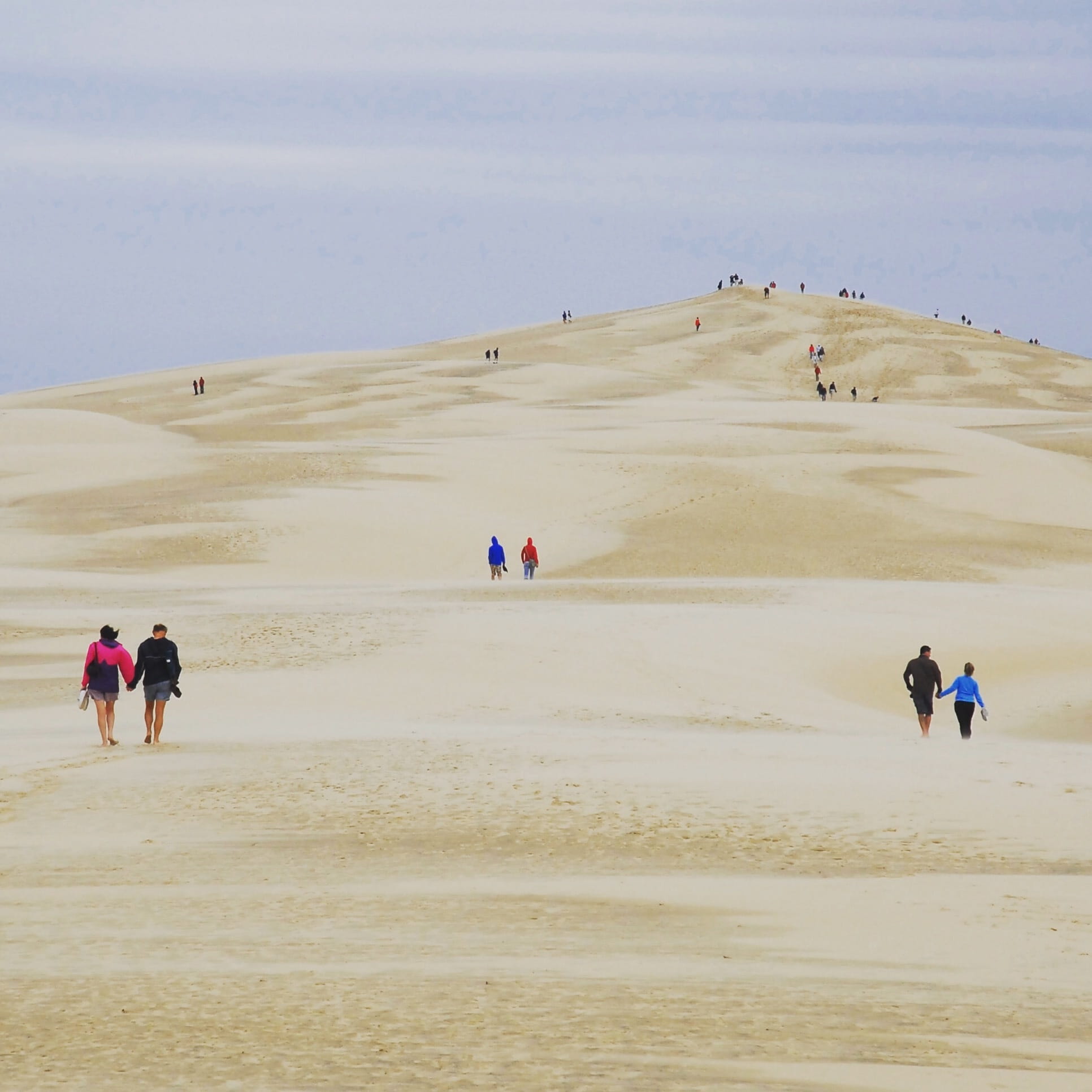 women, group of people, Arcachon, leisure activity, sand, running, arid climate, men, beauty in nature, desert, water, walking, Dunes, outdoors, nature, Phone HD Wallpaper
