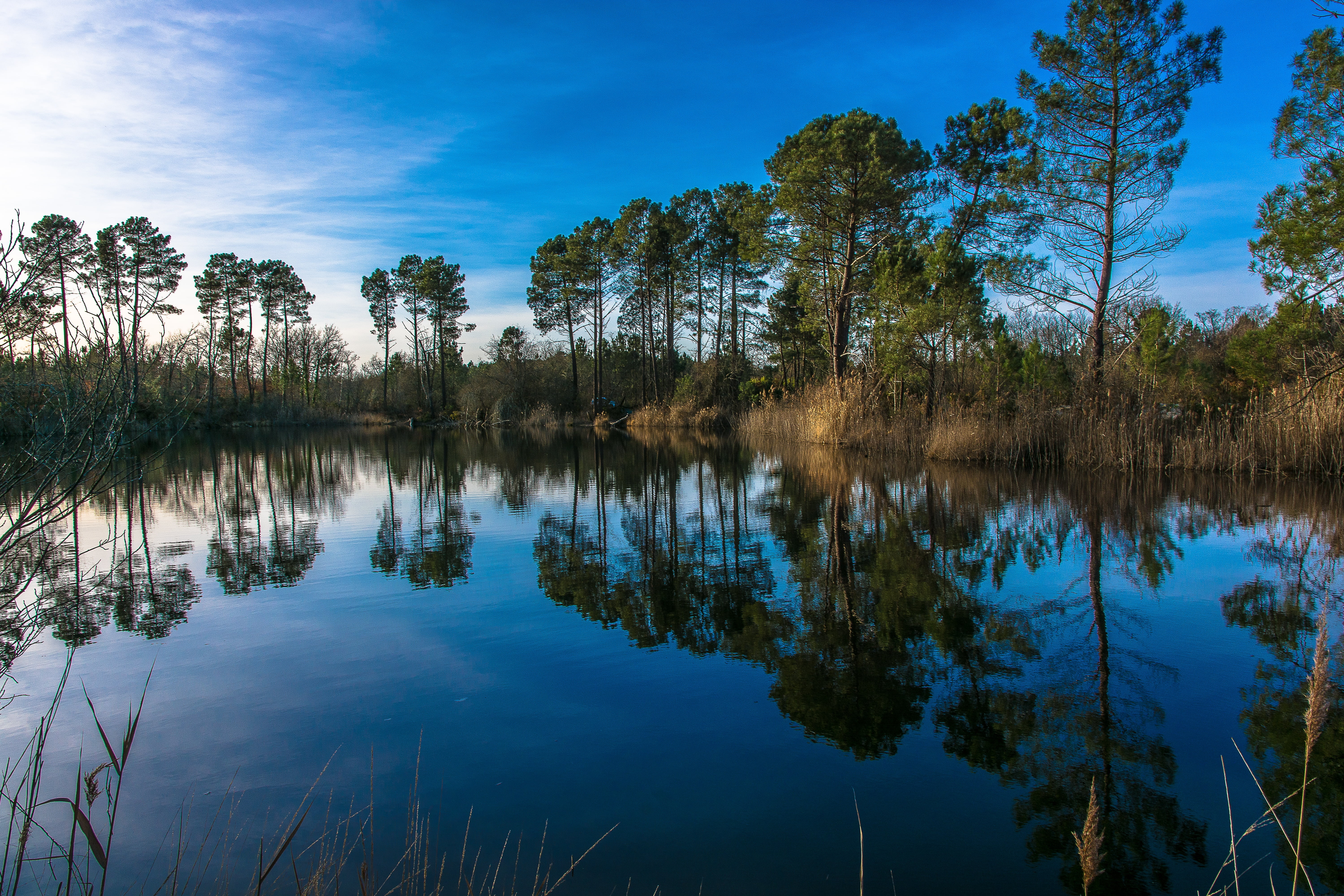 tranquil scene, non-urban scene, sky, nature, arcachon basin, blue, tree, day, 5K, tranquility, scenics - nature, idyllic, growth, plant, sunset, forest, HD Wallpaper