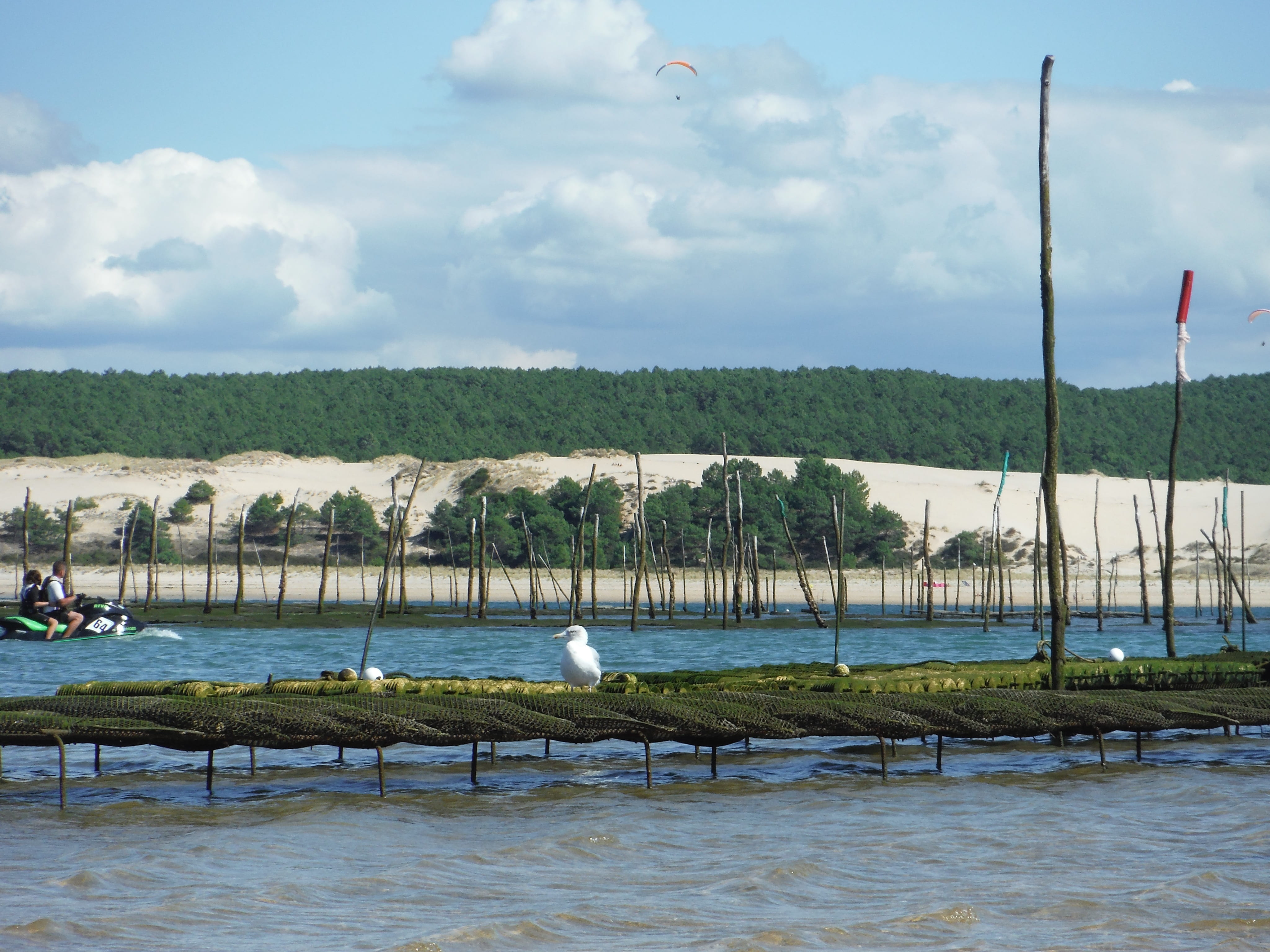 day, plant, built structure, cloud - sky, water, architecture, scenics - nature, waterfront, beauty in nature, sea, sky, 4K, oyster, outdoors, arcachon basin, HD Wallpaper
