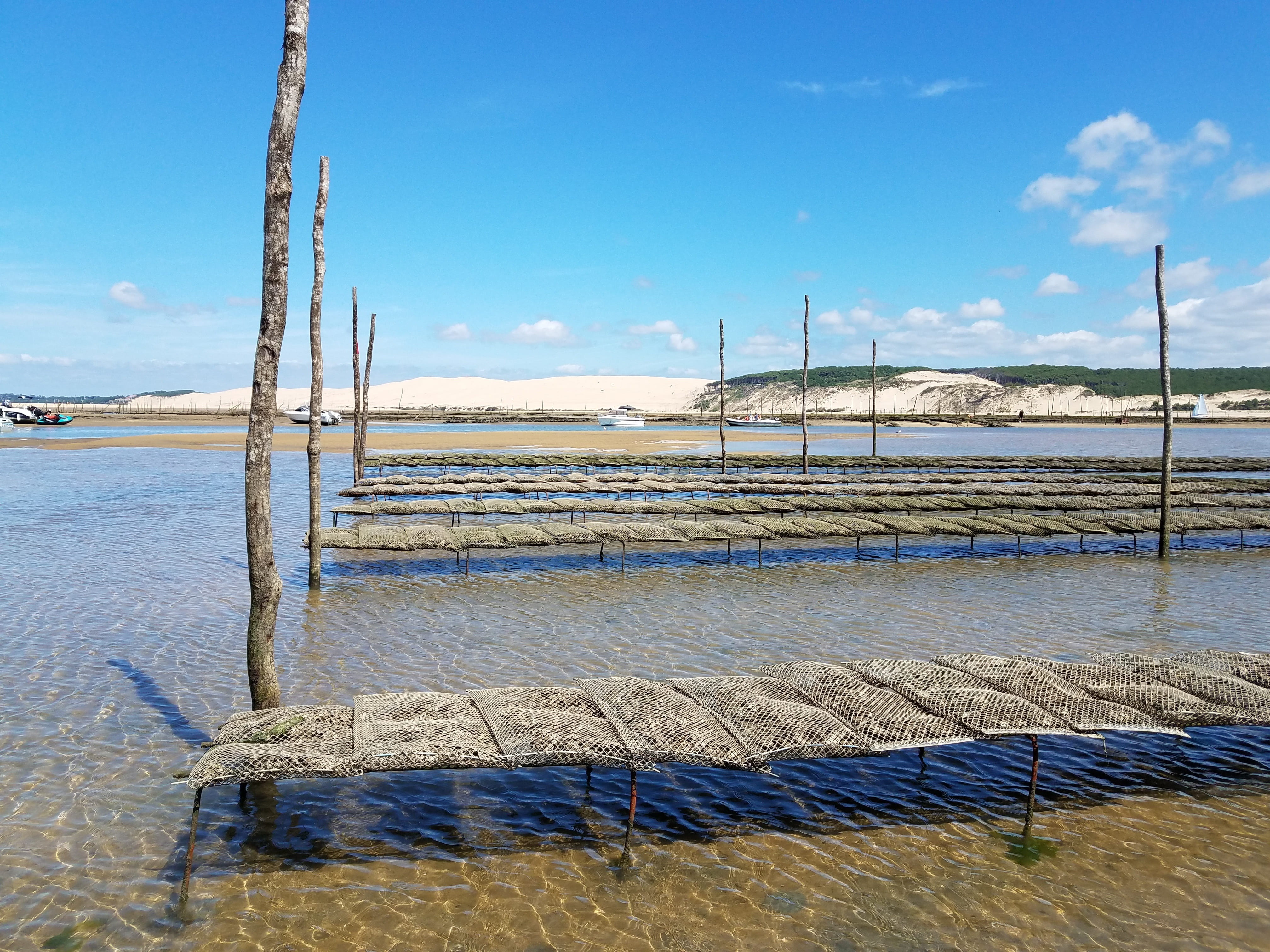 blue, salt flat, sky, non-urban scene, cloud - sky, mineral, oyster, 4K, outdoors, land, pila, sunlight, wood - material, beauty in nature, scenics - nature, HD Wallpaper