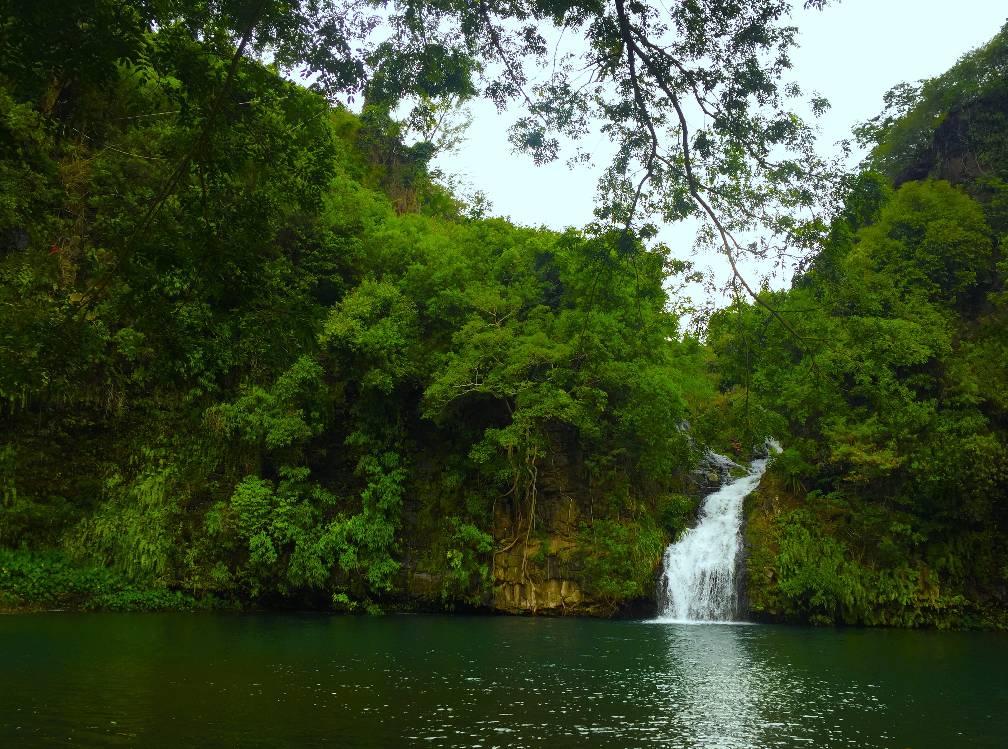 2K, day, foliage, outdoors, plant, reunion, forest, no people, water, tranquility, nature, scenics - nature, flowing, rainforest, beauty in nature, sky, HD Wallpaper