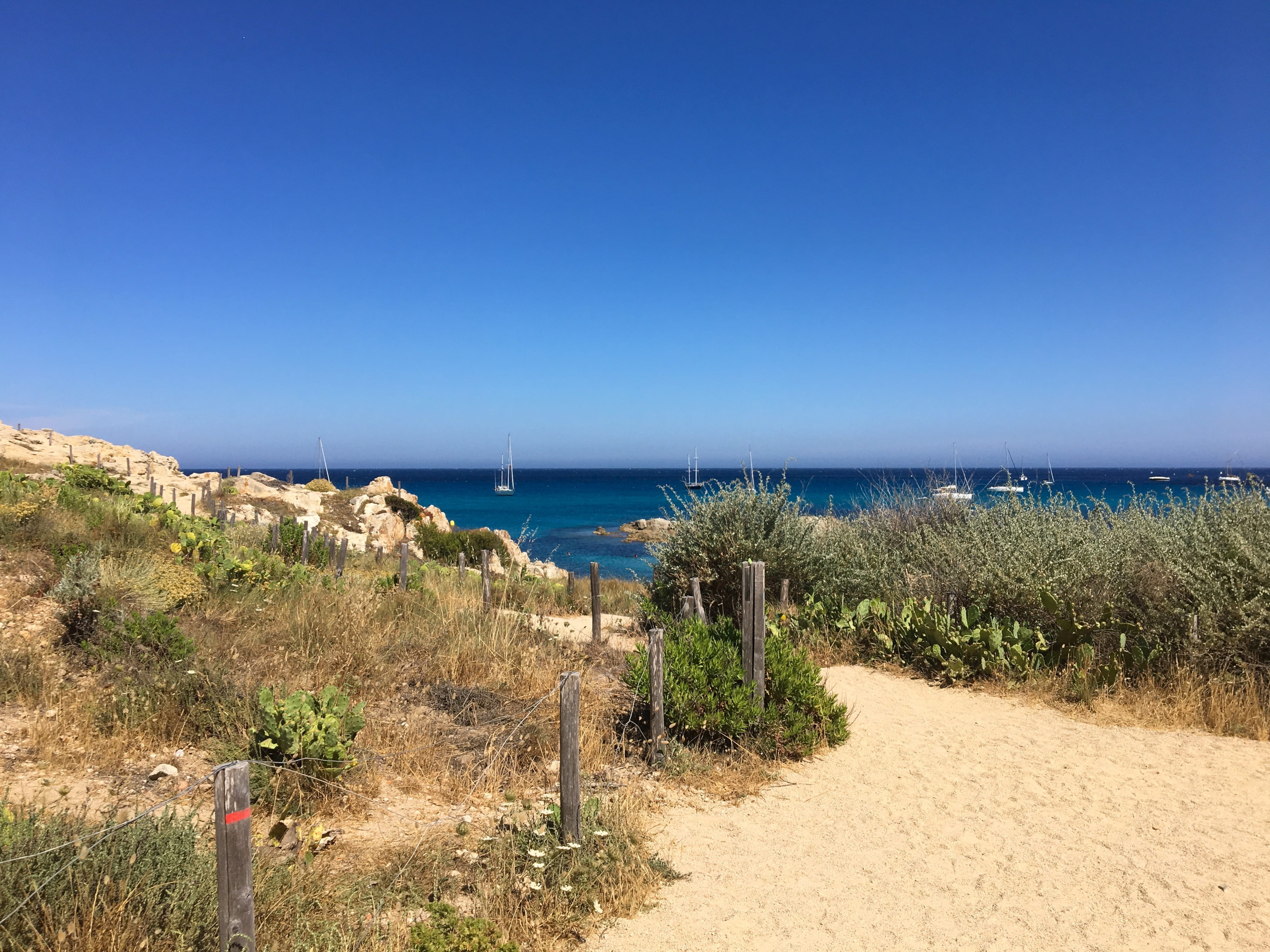 day, grass, marram grass, sky, beauty in nature, nature, water, sun, tranquil scene, land, saint-tropez, coast, beach, copy space, cap taillat, mediterranean, HD Wallpaper