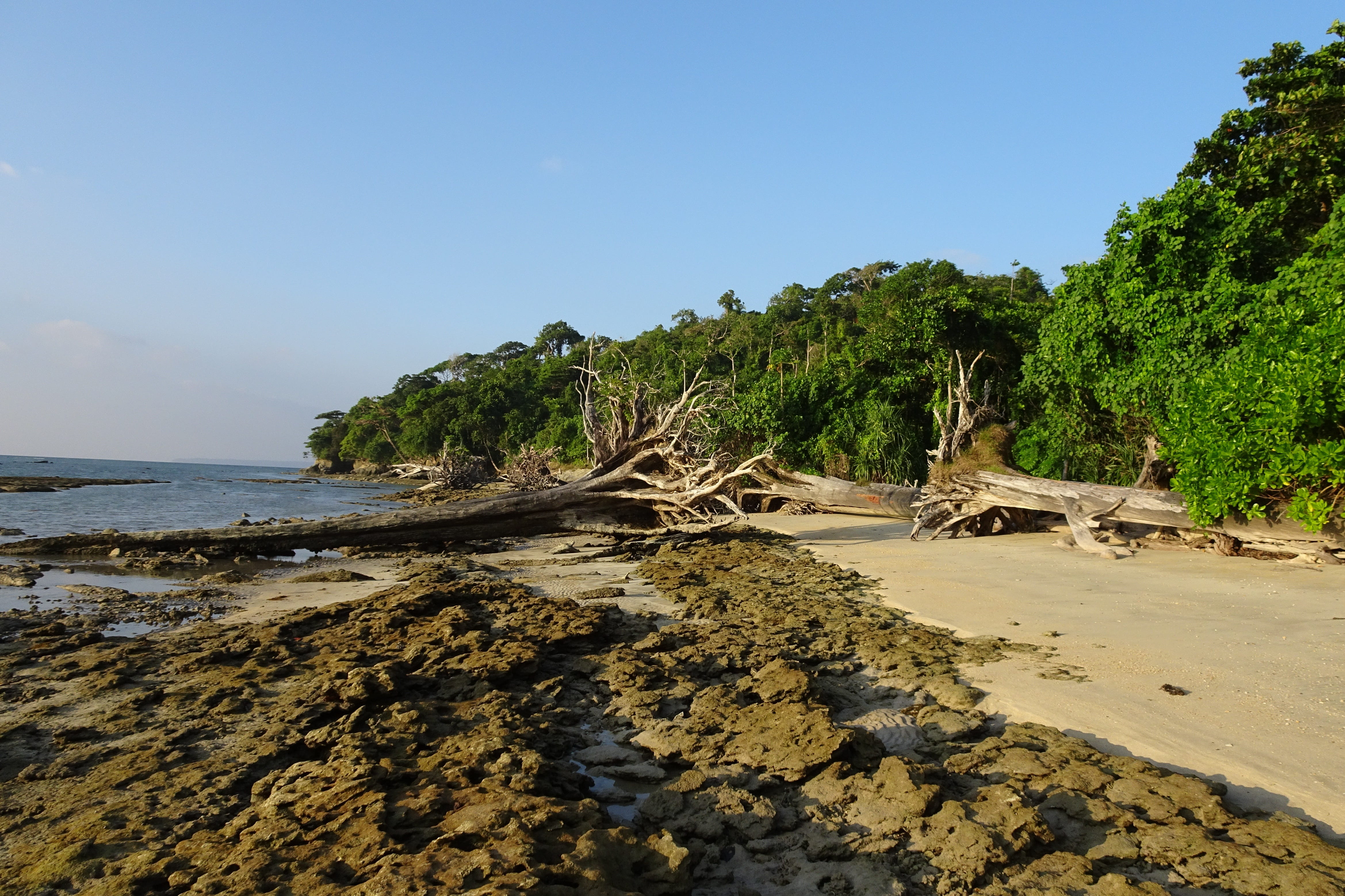 4K, tropical, sky, andaman, clear sky, day, coastal, rock, coast, outdoors, island, beach, vacation, littoral, travel, vegetation, beauty in nature, seascape, HD Wallpaper