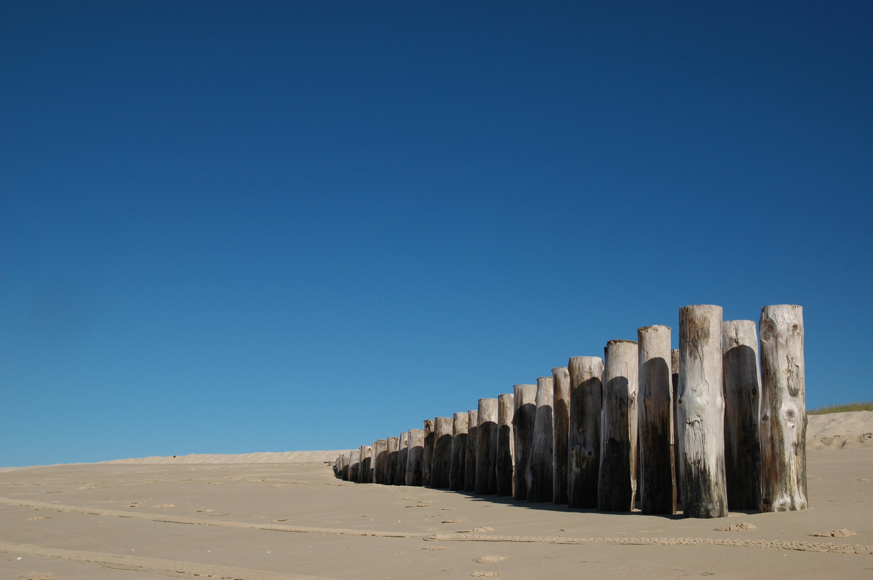 sunlight, copy space, shore, france, wild, no people, sand, atlantic coast, sky, landscape, nature, clear sky, beauty in nature, in a row, land, blue, tranquility, HD Wallpaper