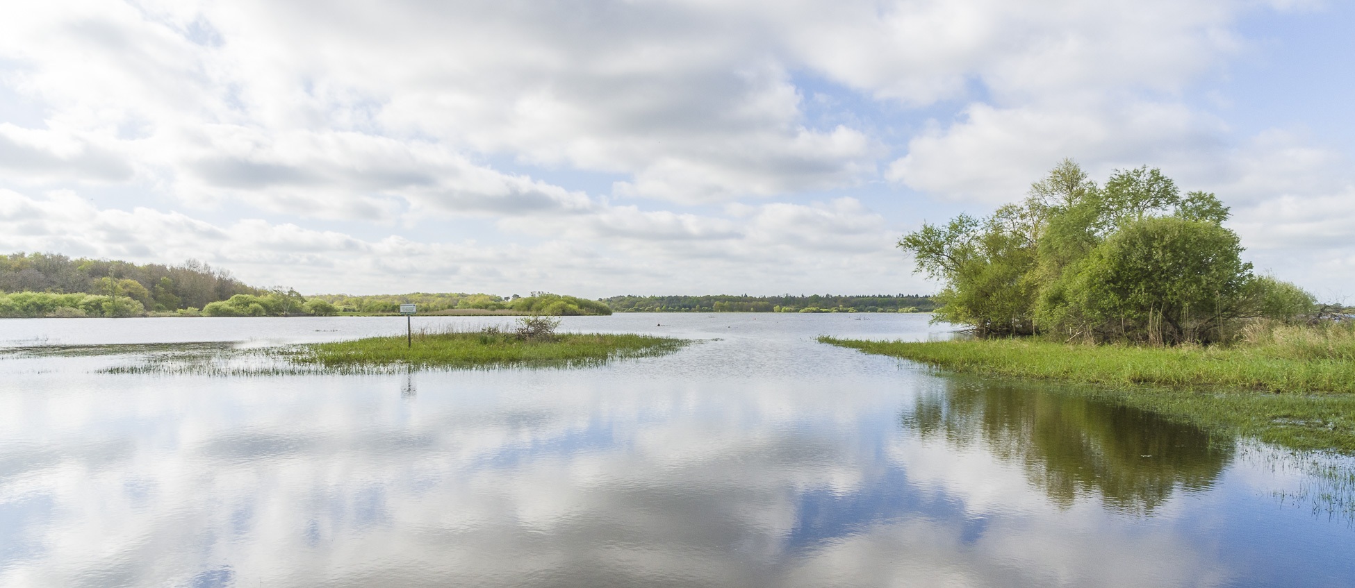 reflection, lake, panorama, scenics - nature, outdoors, landscape, 1080P, environment, swamp, non-urban scene, cloud - sky, tree, tranquil scene, no people, HD Wallpaper