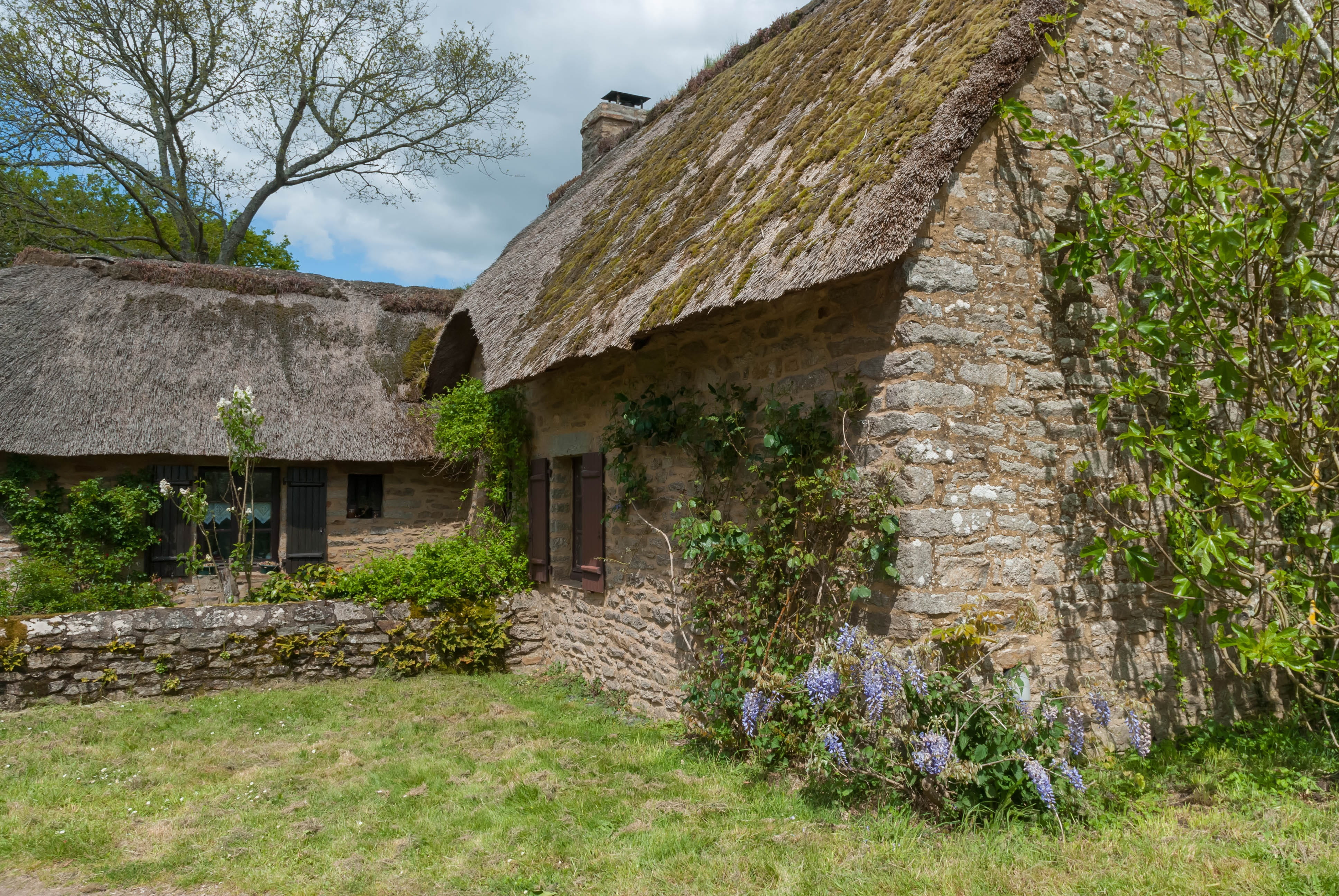 plant, kerhiné, architecture, sky, land, tree trunk, stay, traveling, house, built structure, outdoors, tourism, nature, green color, growth, stone wall, HD Wallpaper